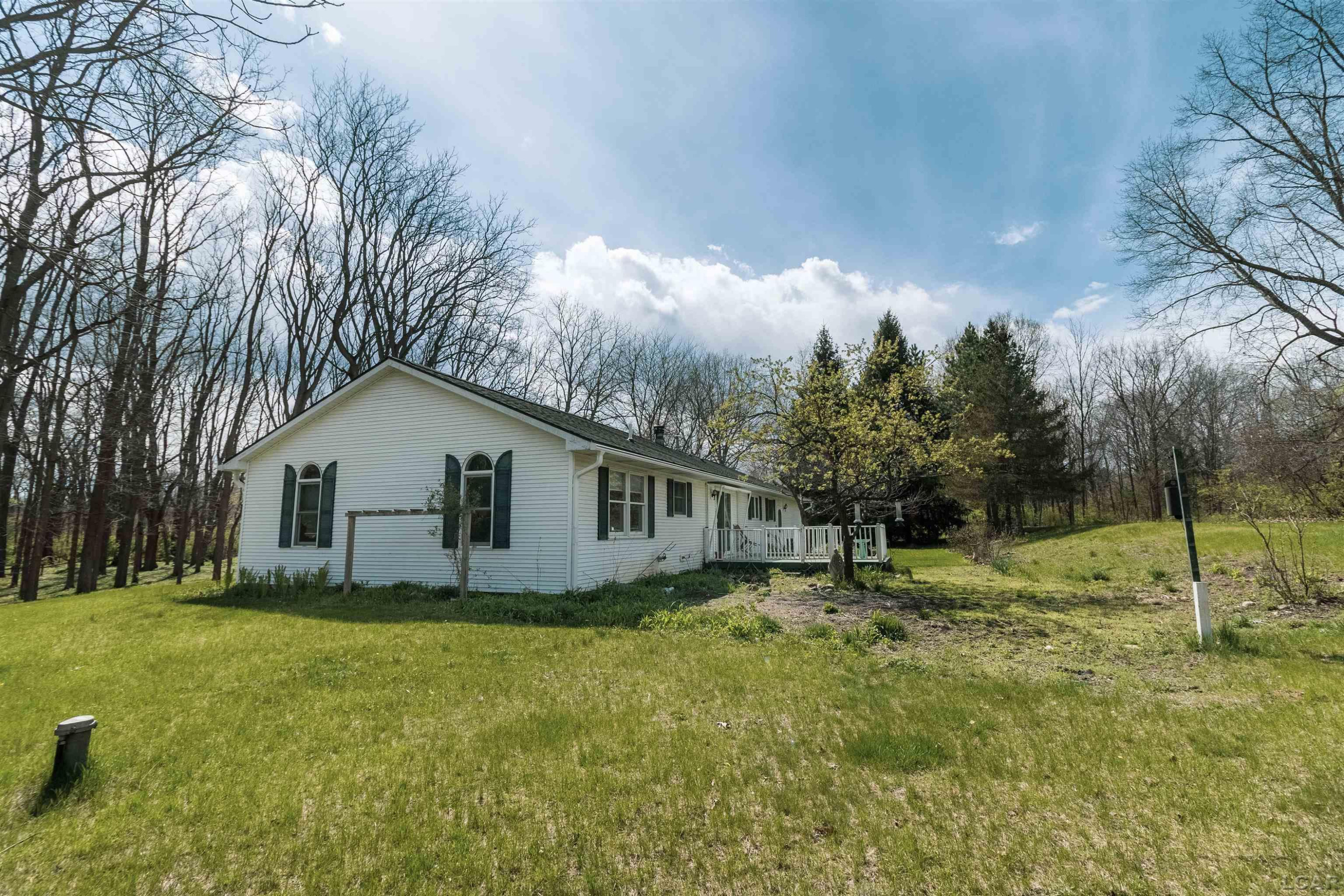 4272 Dillingham Drive, Tecumseh, MI 49286 — Photo 10