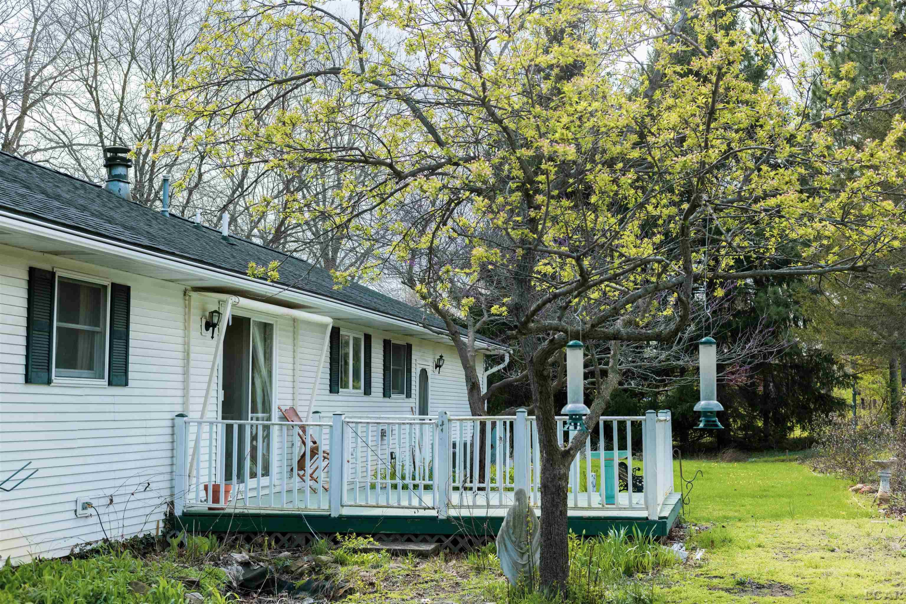 4272 Dillingham Drive, Tecumseh, MI 49286 — Photo 16