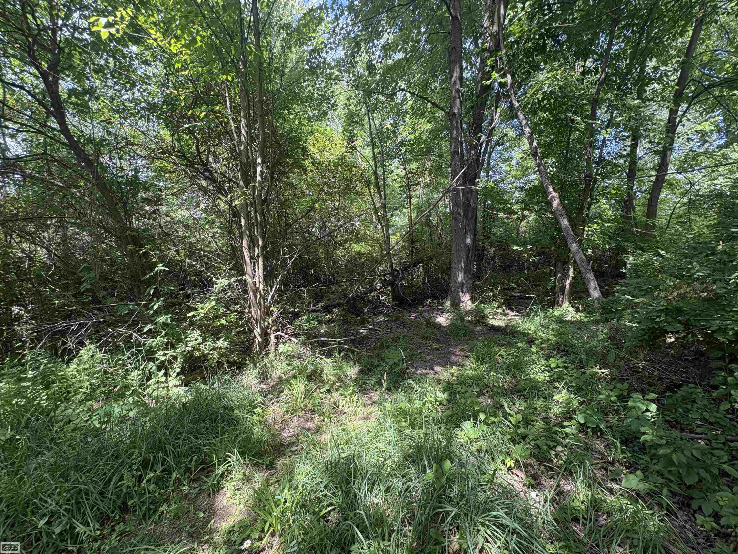 V/L N Heron Drive, Lapeer, MI 48446 — Photo 3