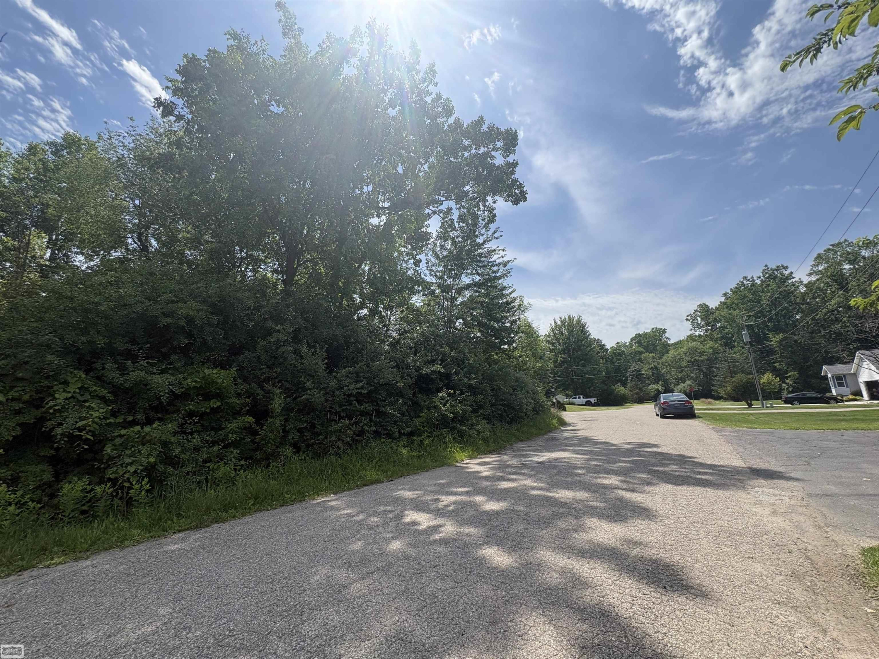 V/L N Heron Drive, Lapeer, MI 48446 — Photo 4