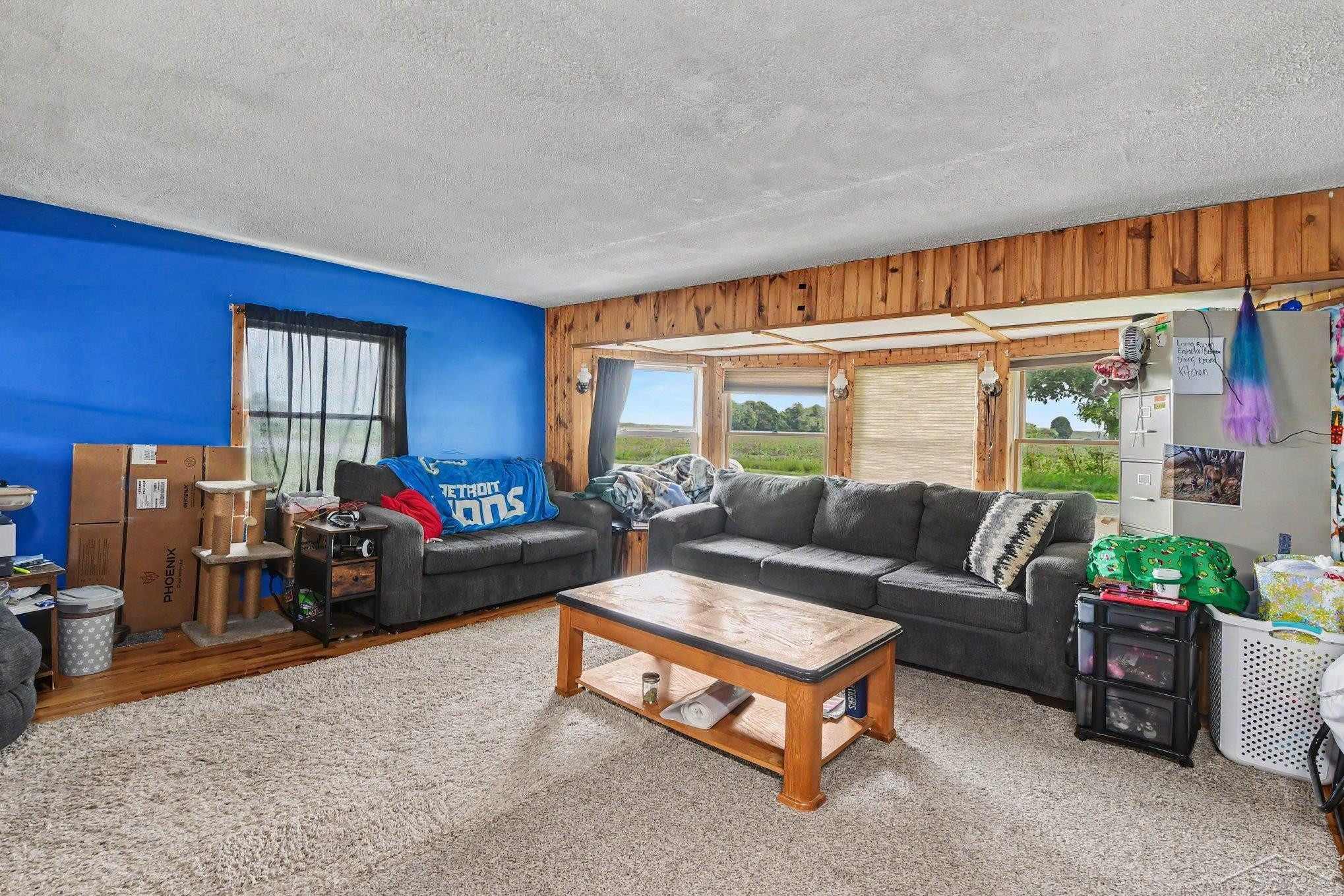 10602 Jordan Lake Road, Lake Odessa, MI 48849 — Photo 5