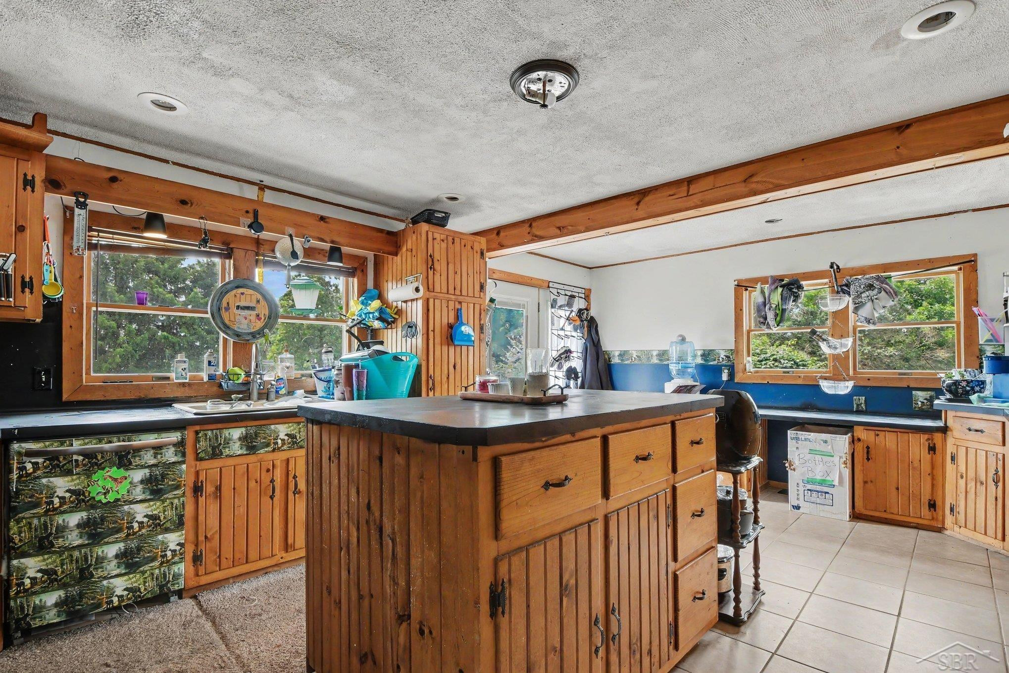 10602 Jordan Lake Road, Lake Odessa, MI 48849 — Photo 12