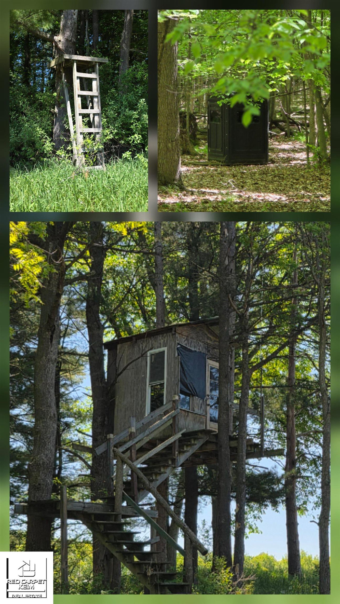 5544 Coldwater Road, Columbiaville, MI 48421 — Photo 45