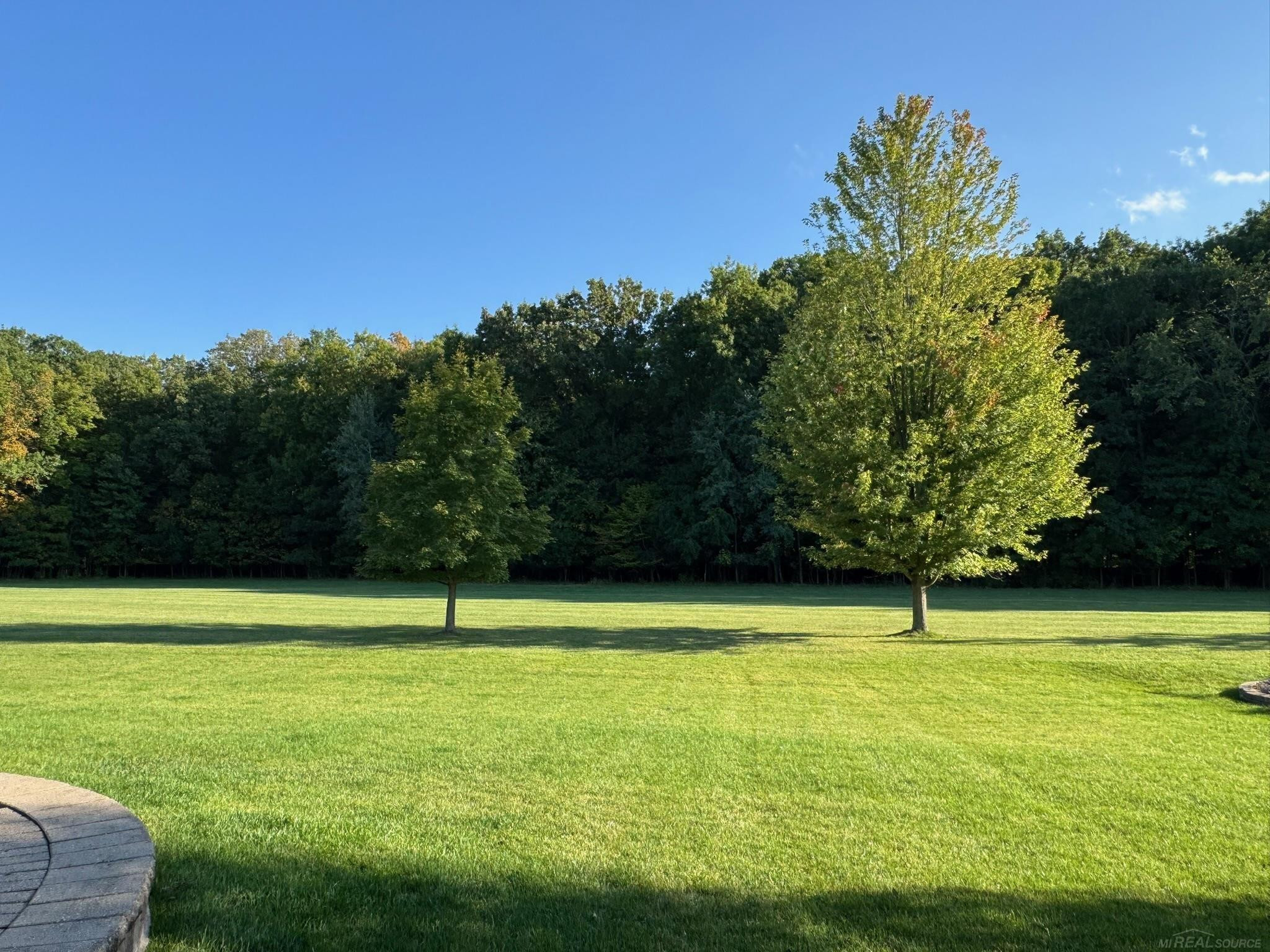 48805 Rockefeller Drive, Canton, MI 48188 — Photo 6