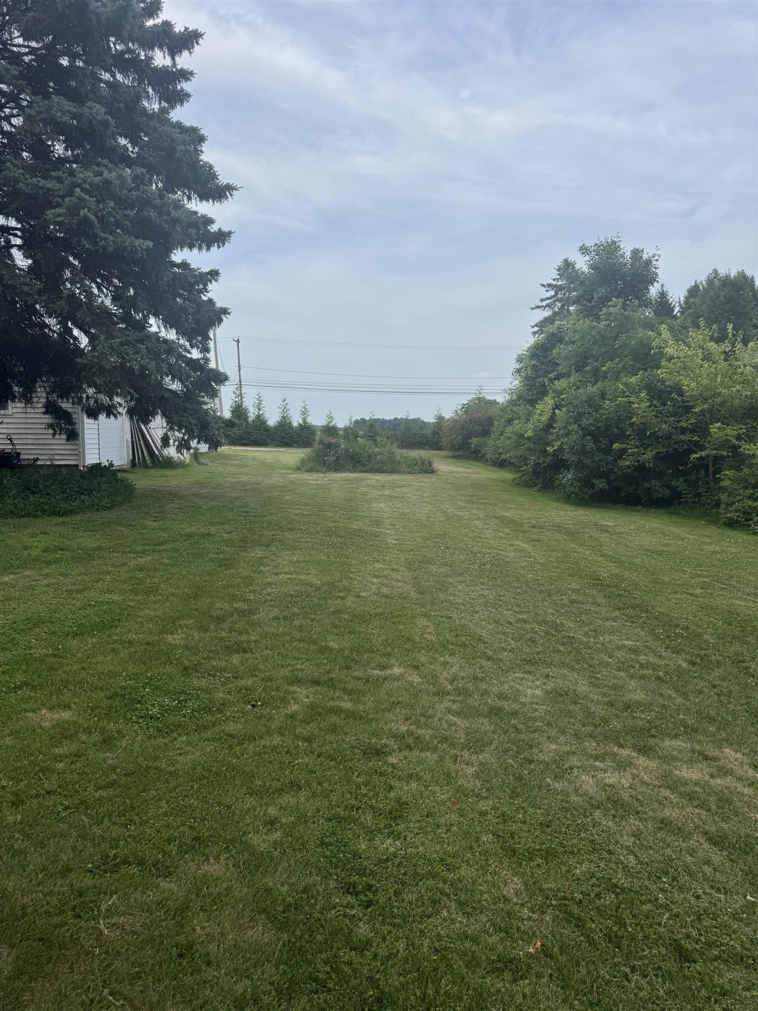 3715 N M-52 Road, Owosso, MI 48867 — Photo 5
