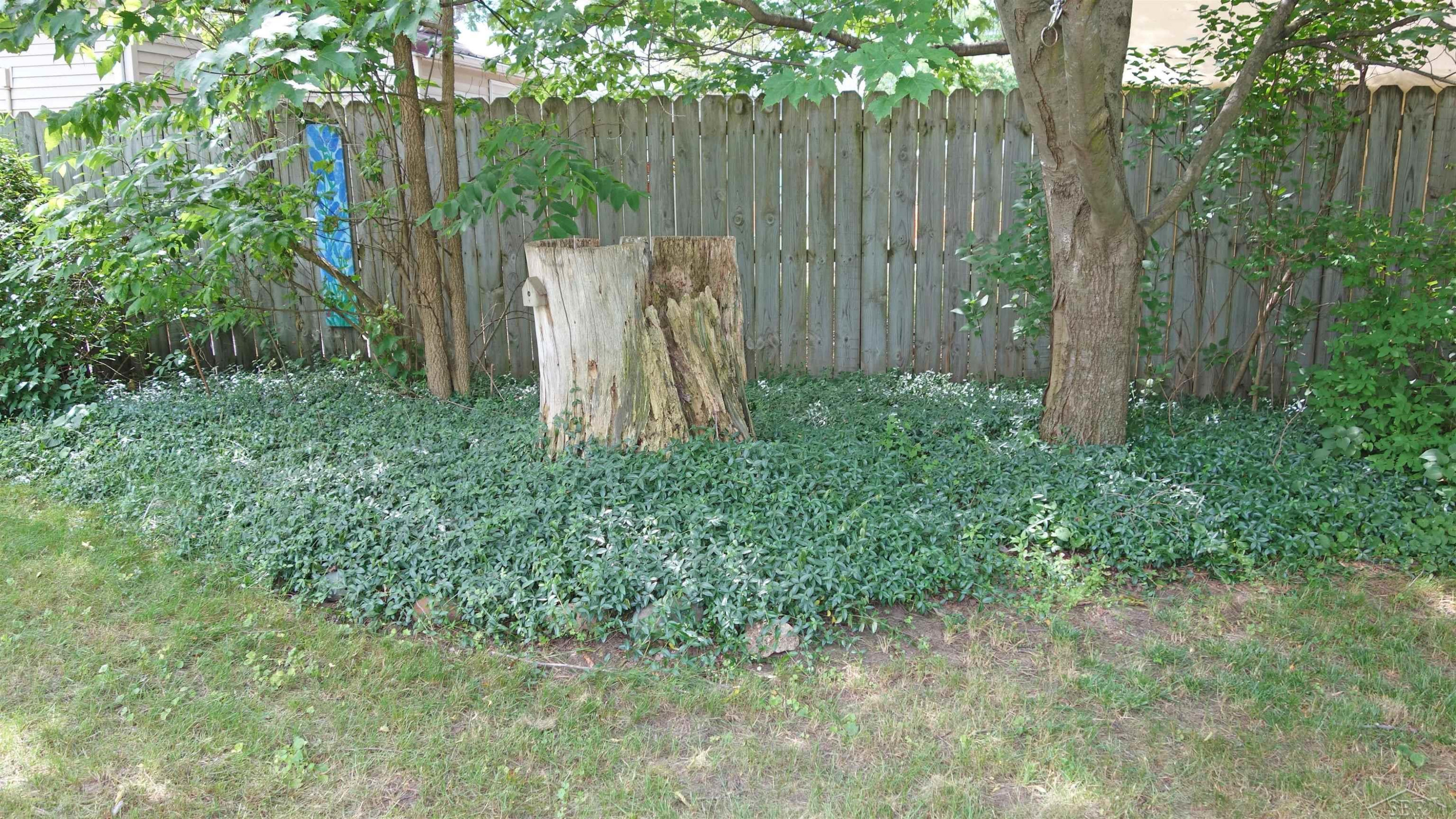 326 S Clark Street, Chesaning, MI 48616 — Photo 38