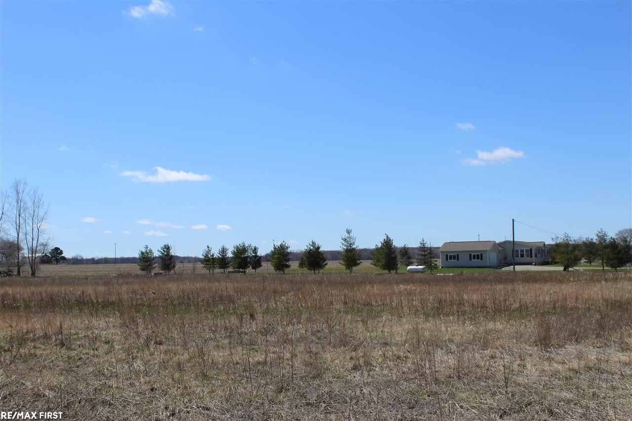 00 Connell rd Road, MI 48097 — Photo 2