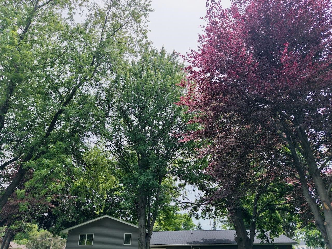 605 E Liberty Street, Chesaning, MI 48616 — Photo 8