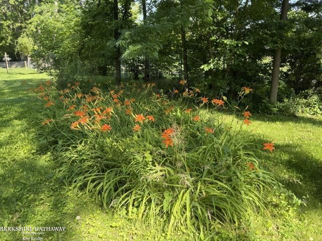 11827 Carney Street, Warren, MI 48089 — Photo 3