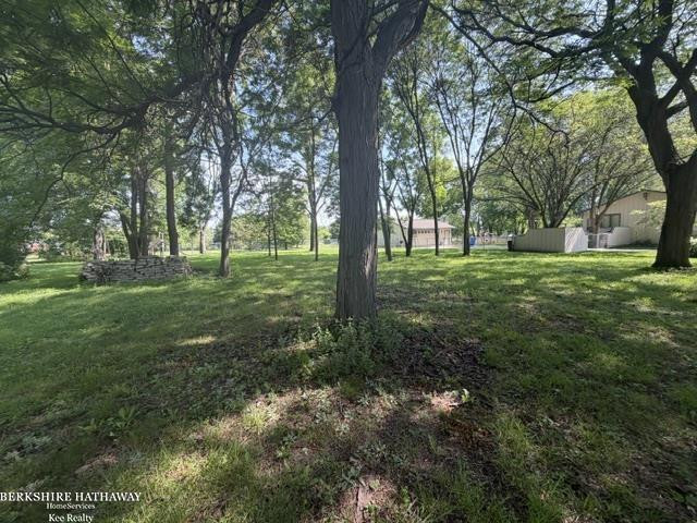 11849 Carney Street, Warren, MI 48089 — Photo 4