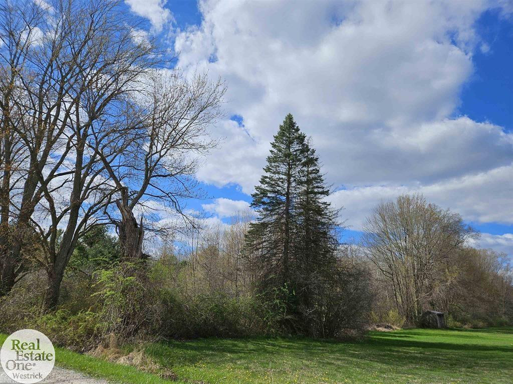 0 Genaw Road, just east of 6582 Genaw, MI