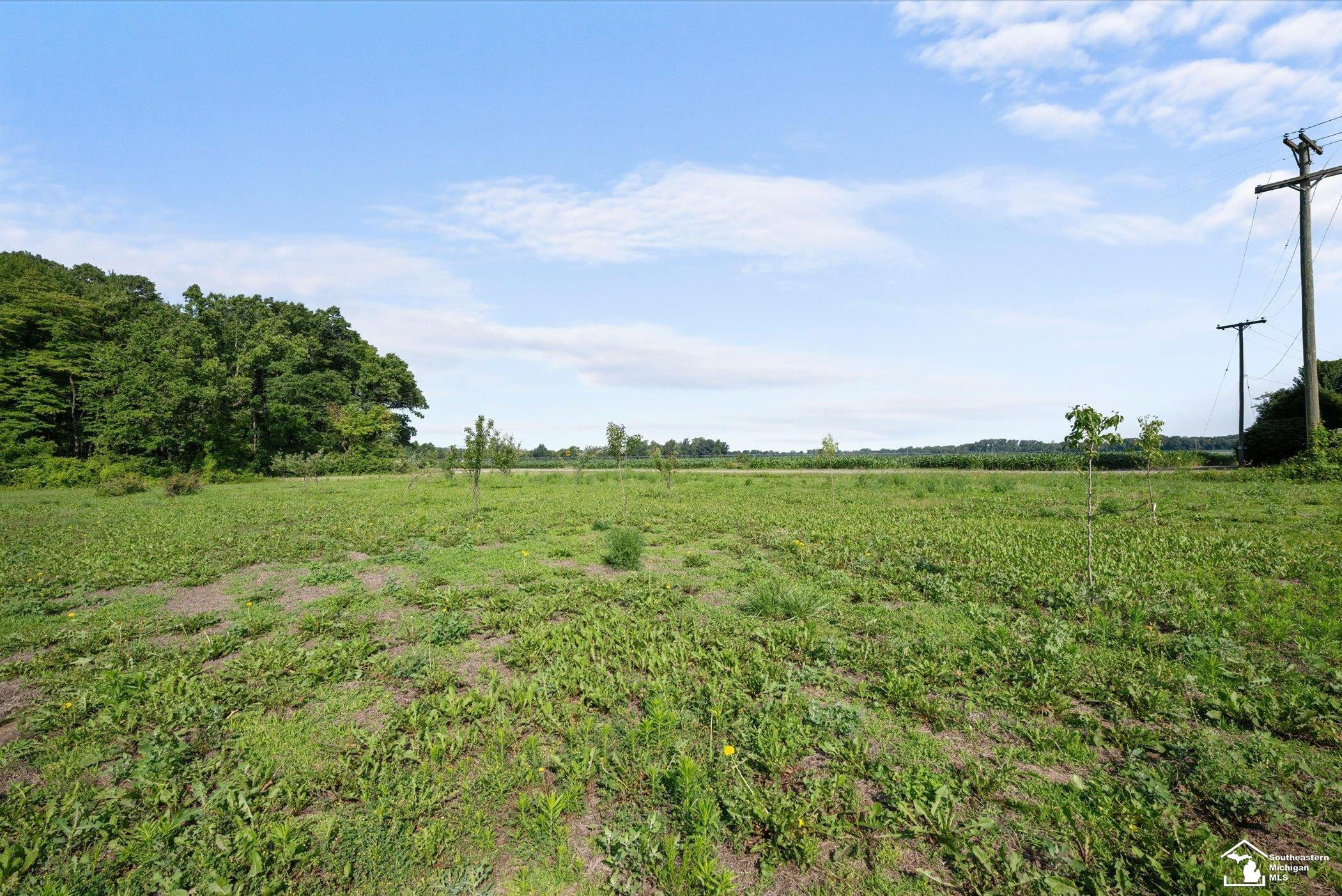 12501 Dixon Road, MI — Photo 26