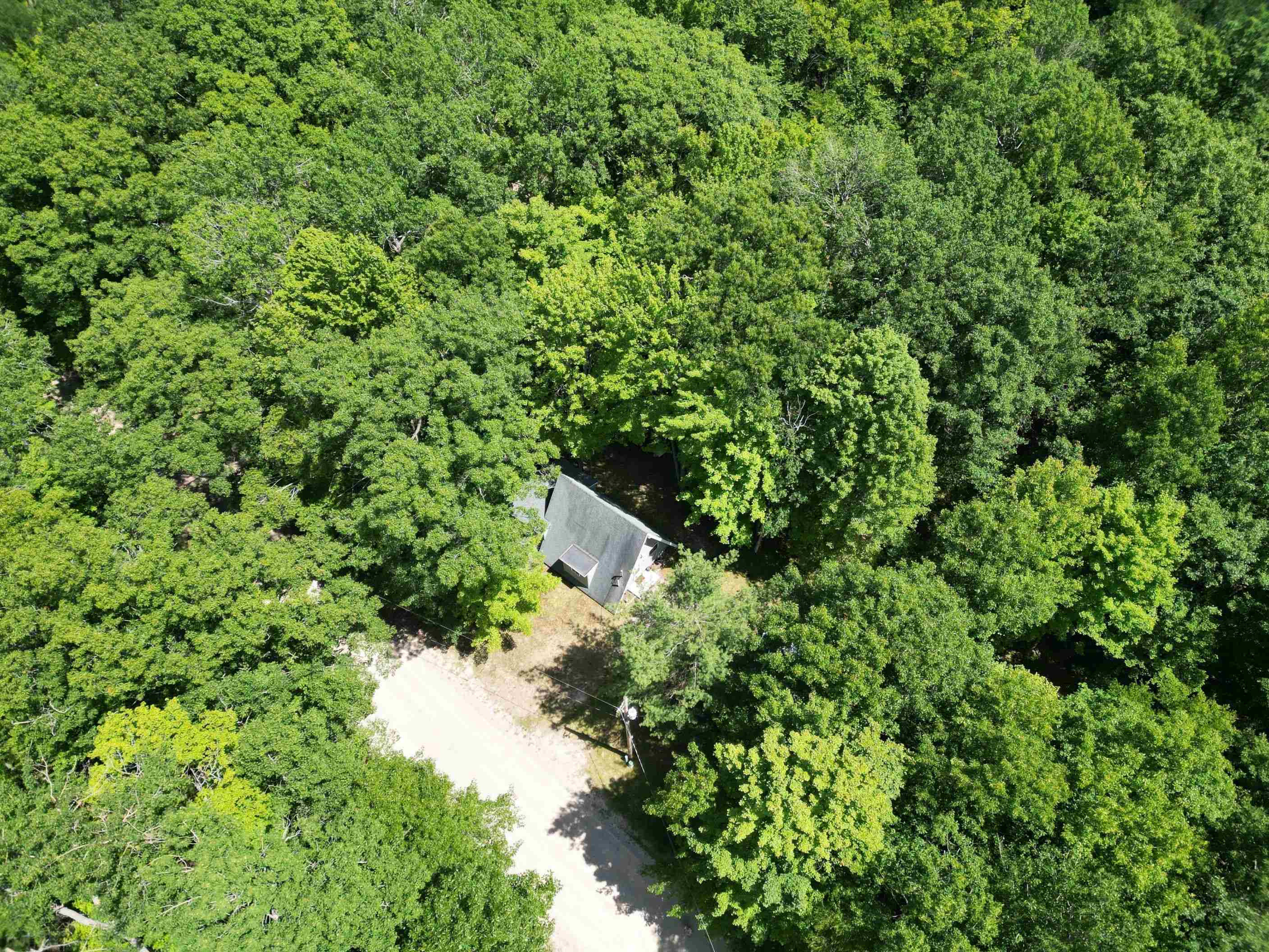 540 Hilltop Drive, Rose City, MI 48654 — Photo 44
