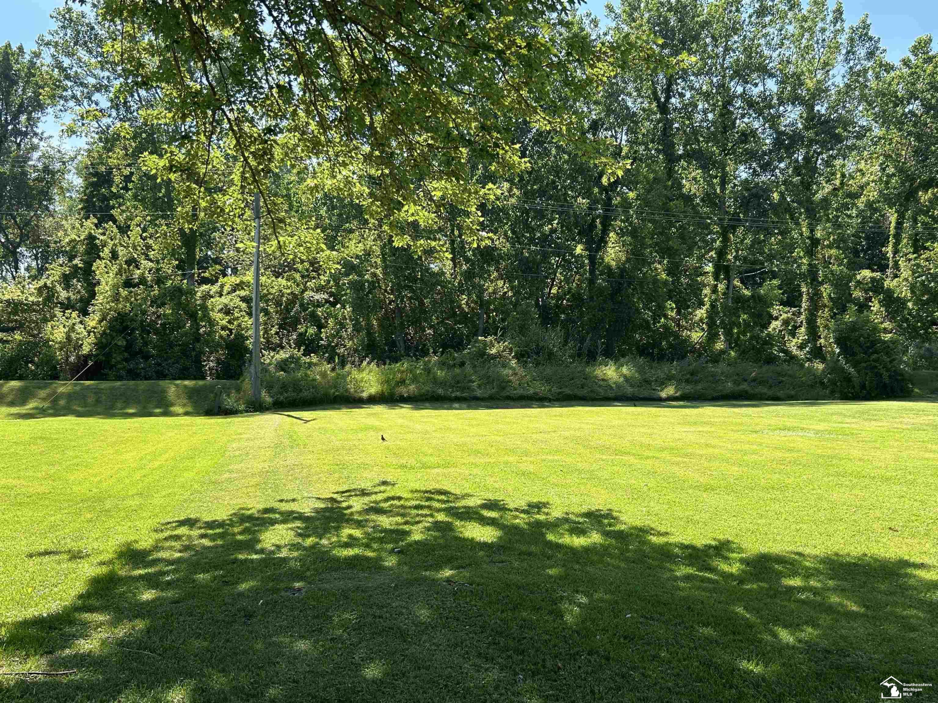 Sycamore Road, Newport, MI 48166 — Photo 2