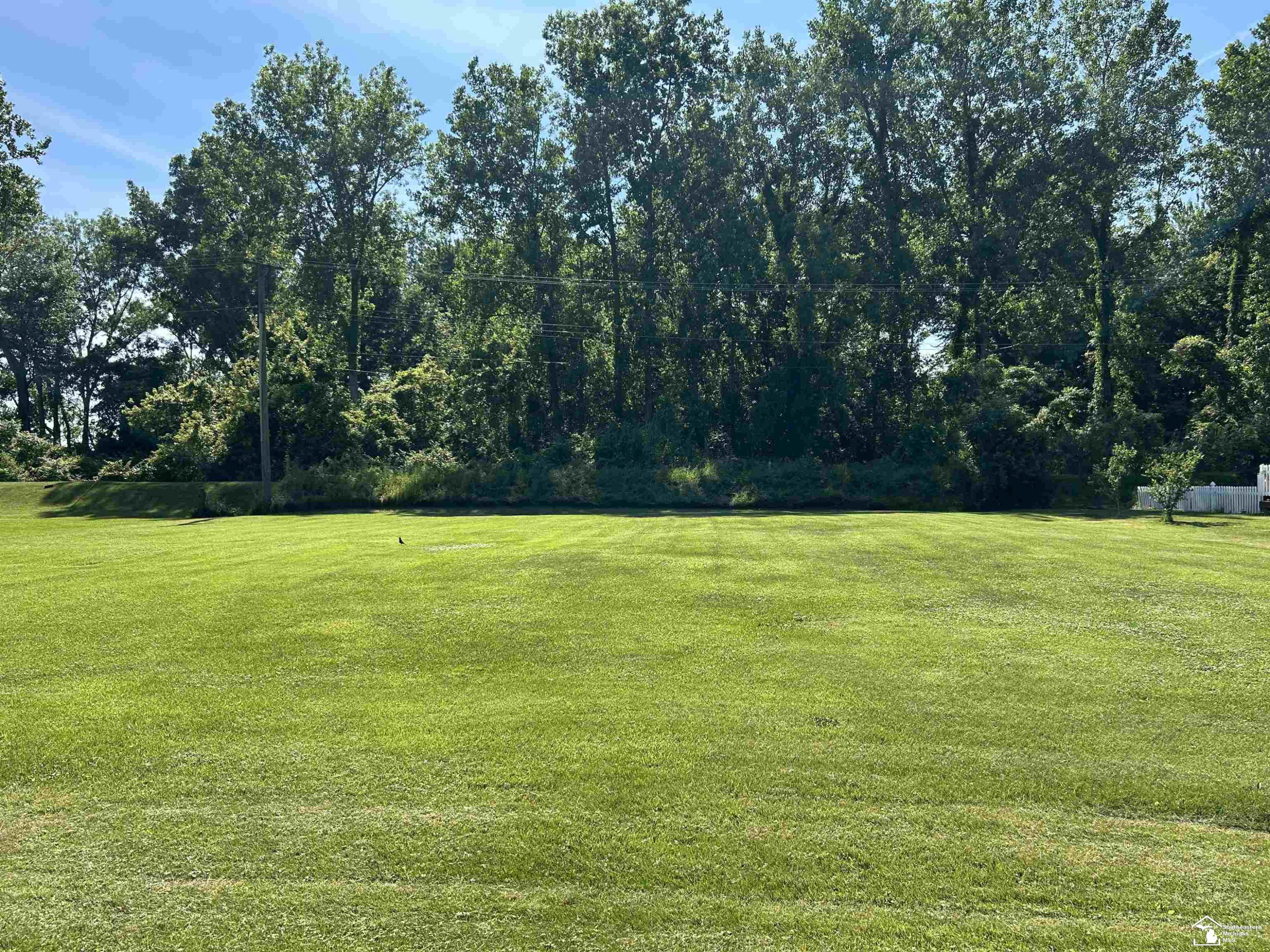 Sycamore Road, Newport, MI 48166 — Photo 3