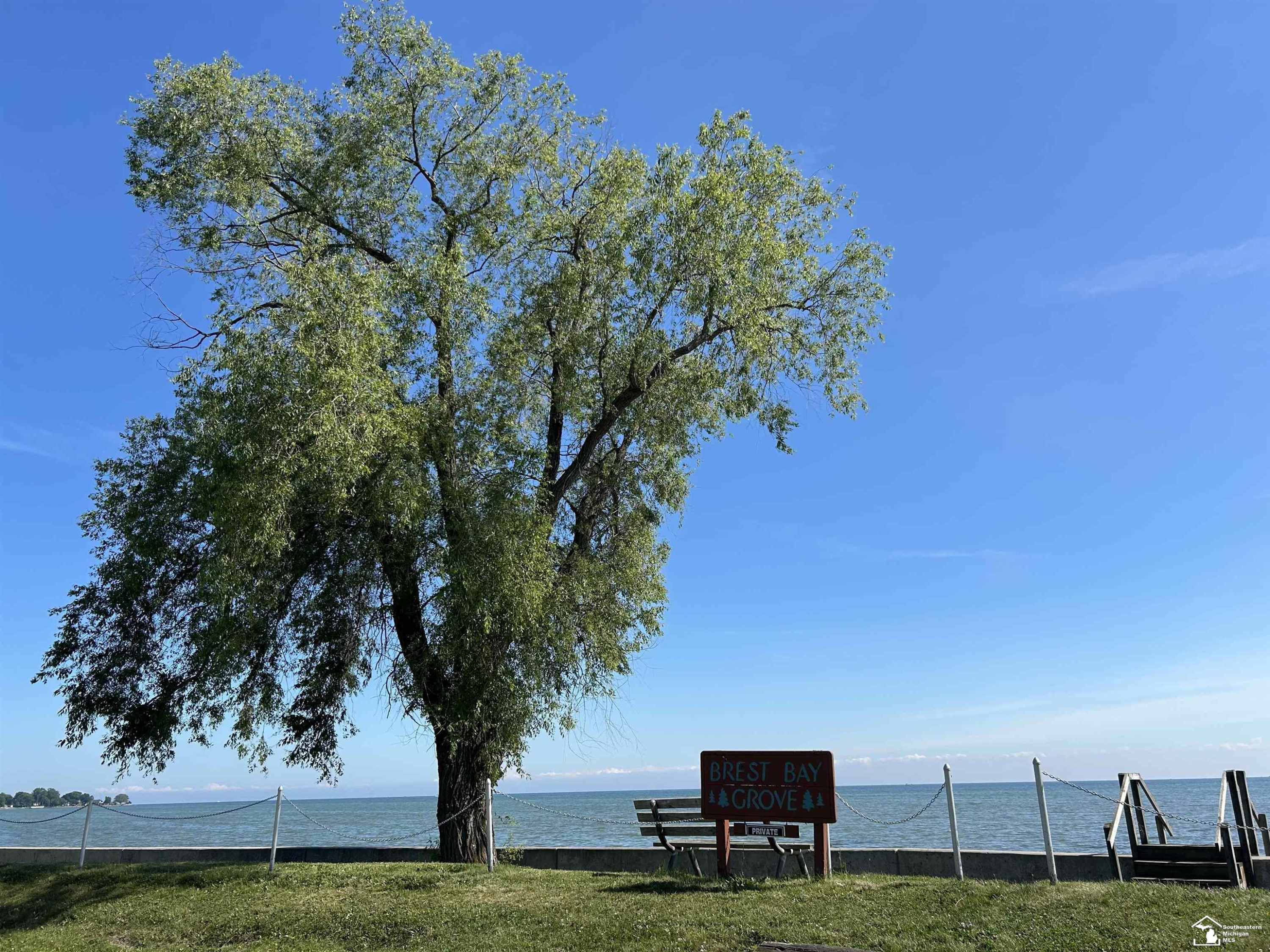 Sycamore Road, Newport, MI 48166 — Photo 4