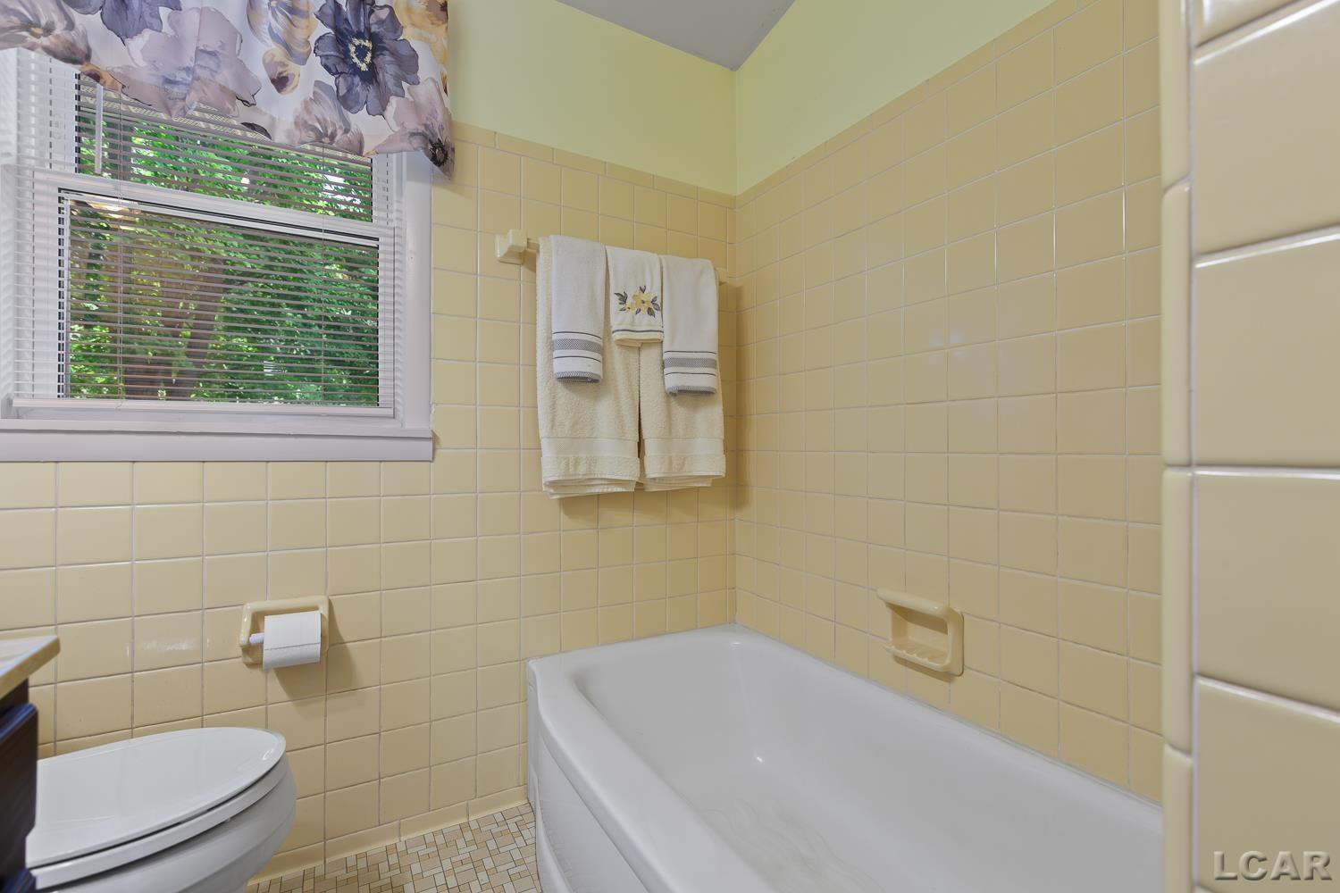 515 Nokomis Street, Tecumseh, MI 49286 — Photo 24
