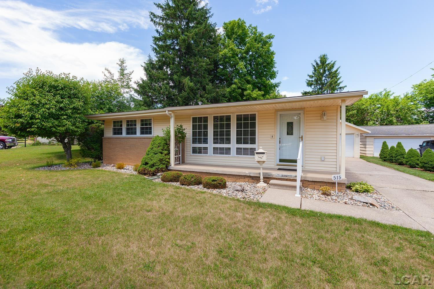 515 Nokomis Street, Tecumseh, MI 49286 — Photo 39