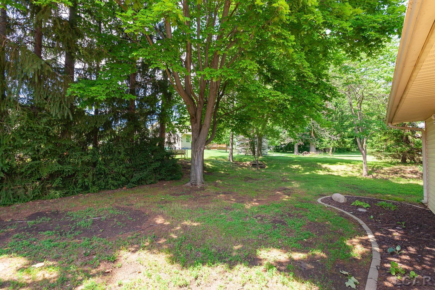 515 Nokomis Street, Tecumseh, MI 49286 — Photo 47