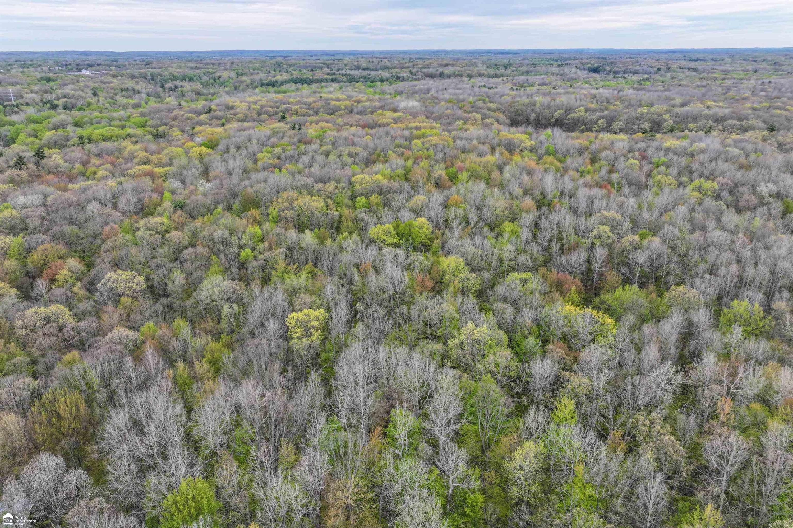 3393 Pine Bluff Court, Columbiaville, MI 48421 — Photo 27