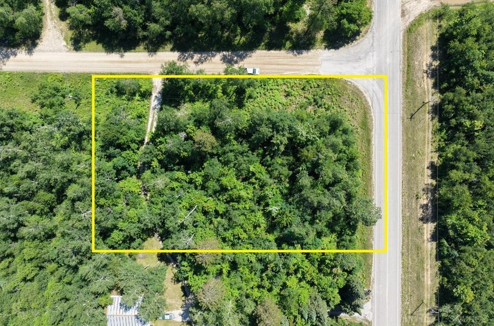 TBD Co Rd 489, Atlanta, MI 49709 — Photo 2