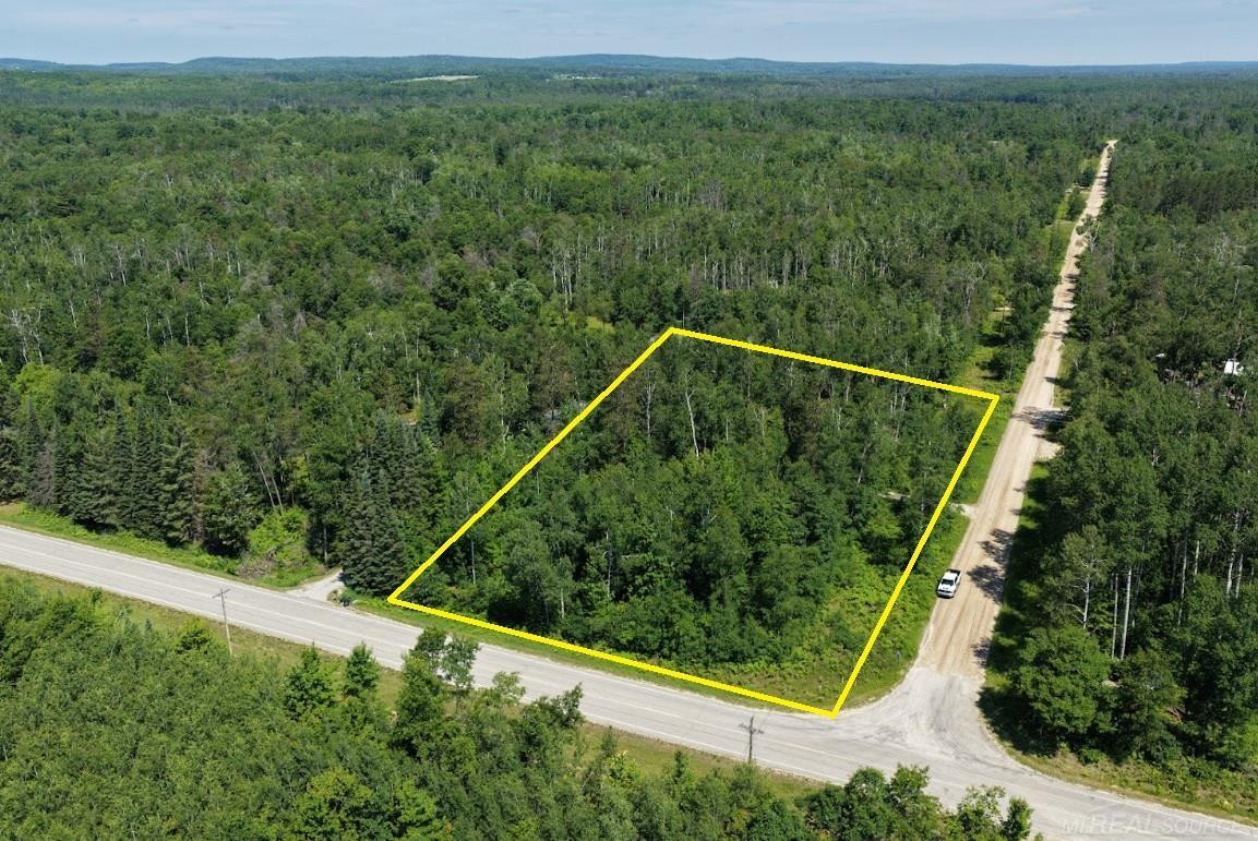 TBD Co Rd 489, Atlanta, MI 49709 — Photo 3