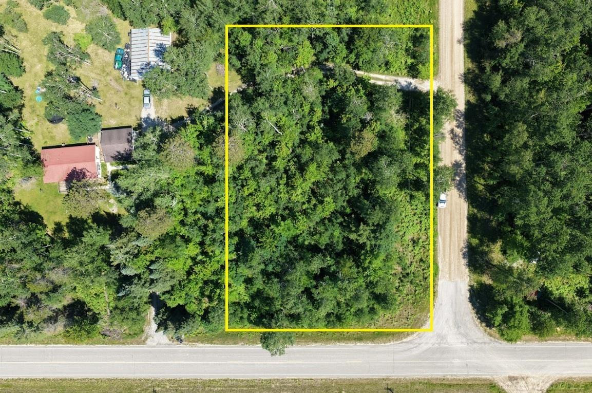 TBD Co Rd 489, Atlanta, MI 49709 — Photo 4