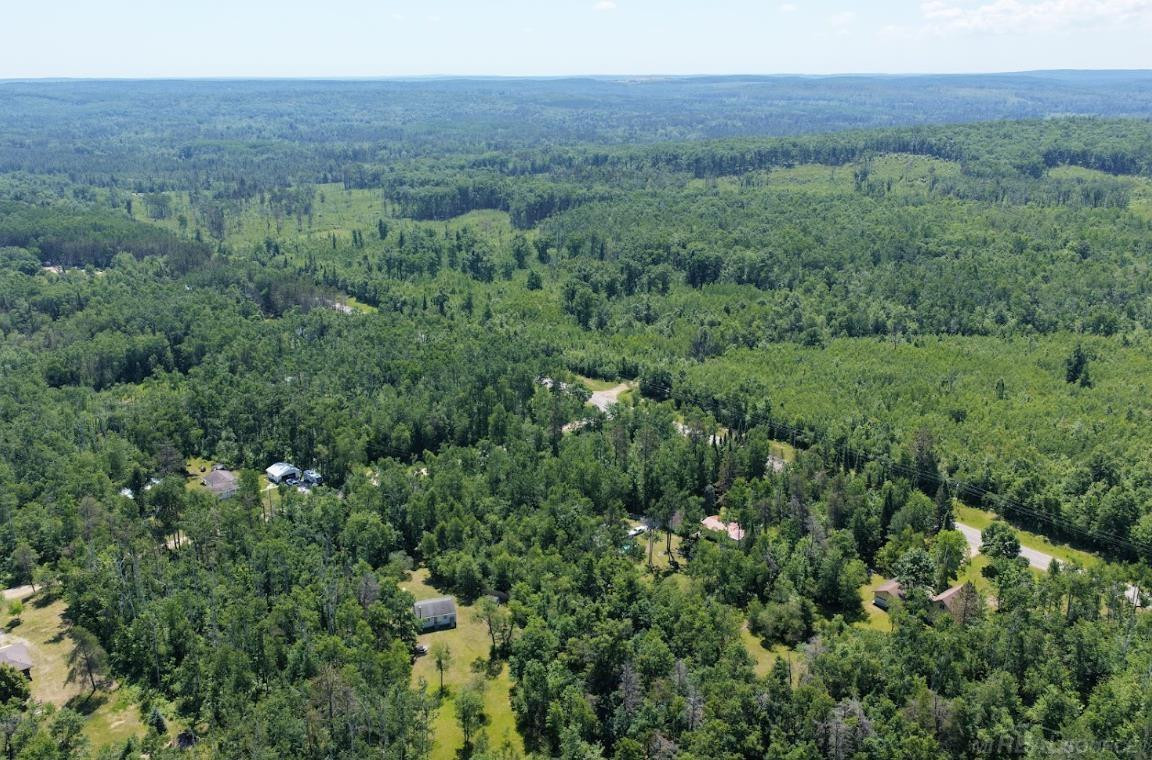 TBD Co Rd 489, Atlanta, MI 49709 — Photo 5