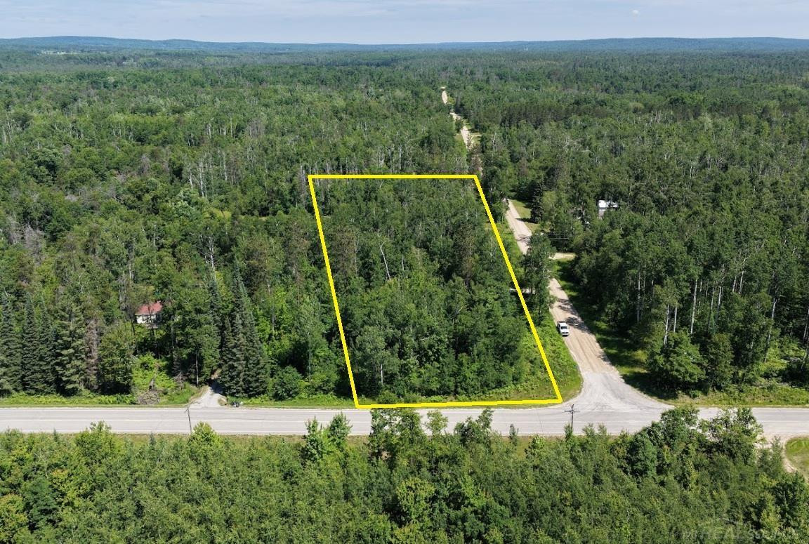 TBD Co Rd 489, Atlanta, MI 49709 — Photo 6
