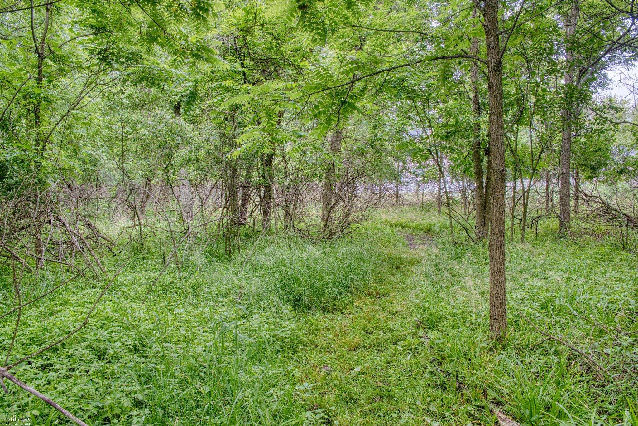 1445 W North Street, Owosso, MI 48867 — Photo 43