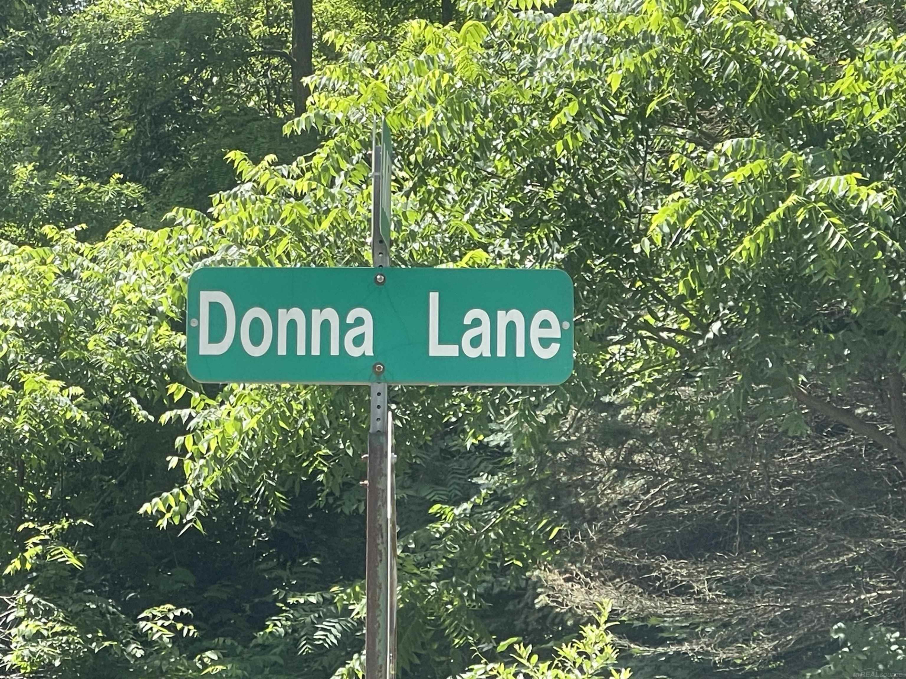 0 Donna Lane, Dryden, MI 48428