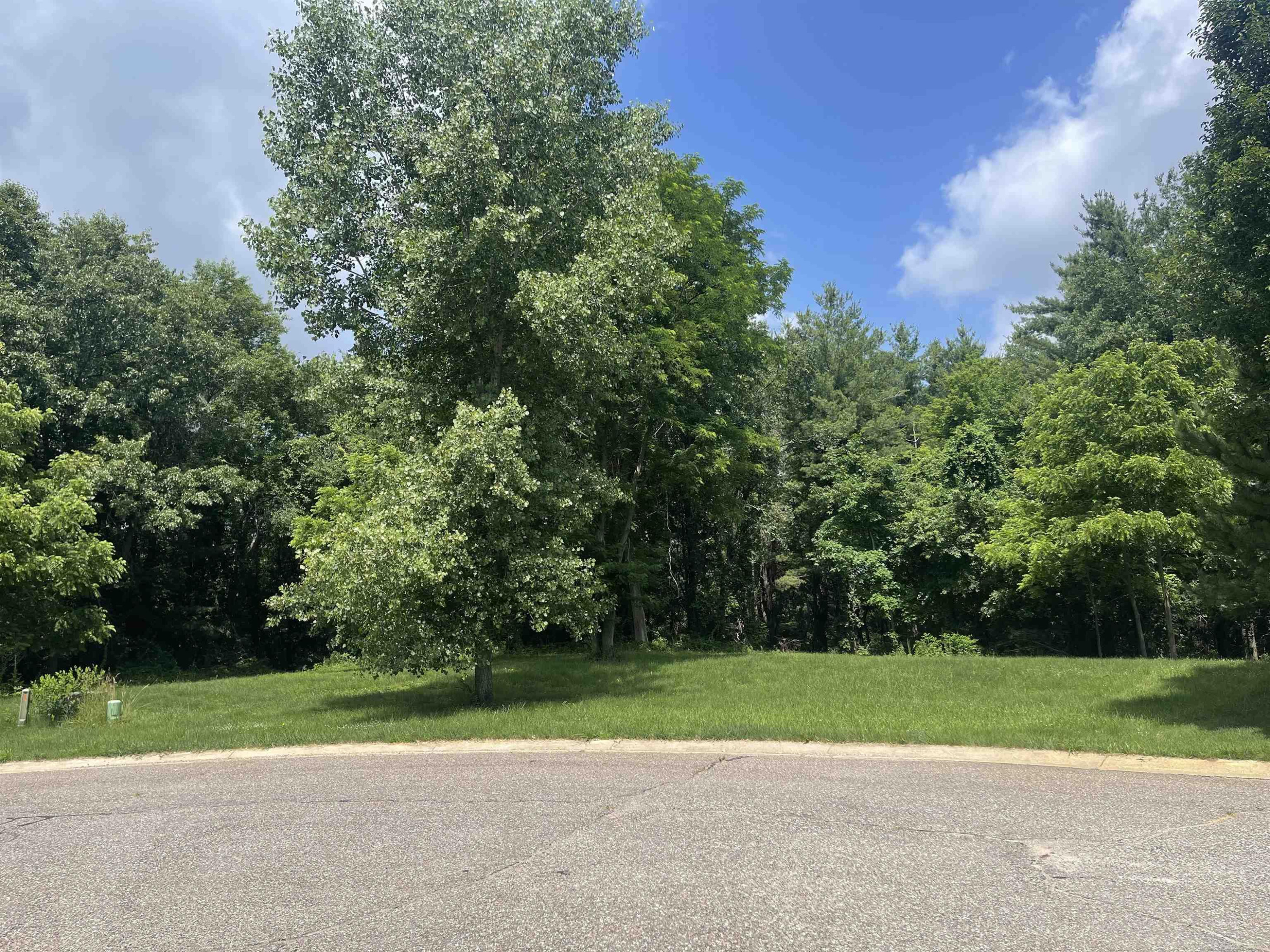 0 Donna Lane, Dryden, MI 48428 — Photo 2
