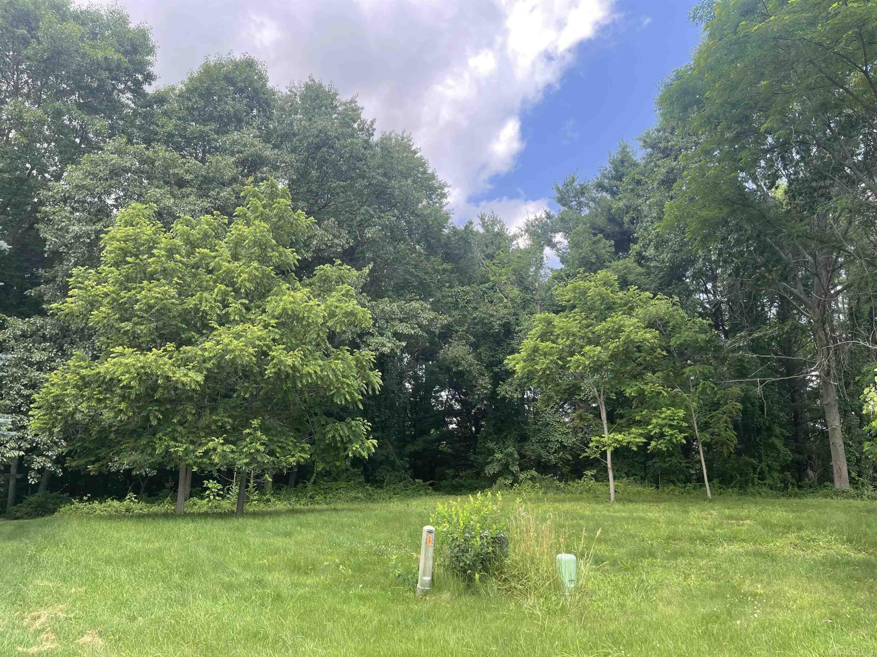 0 Donna Lane, Dryden, MI 48428 — Photo 4