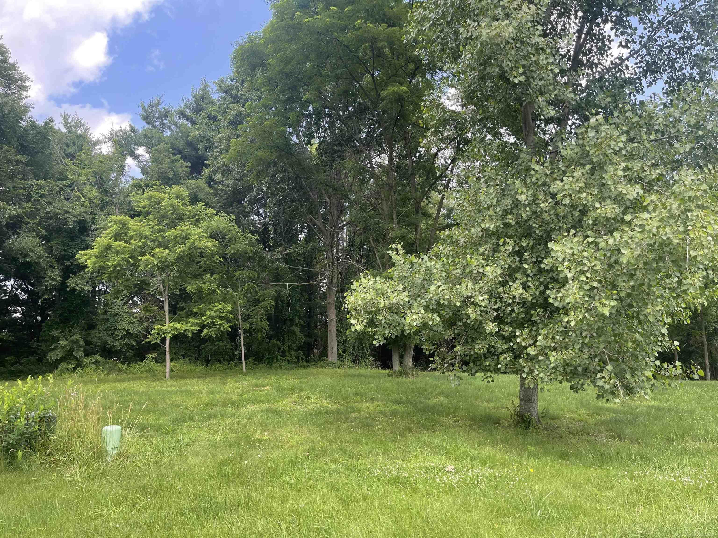 0 Donna Lane, Dryden, MI 48428 — Photo 5