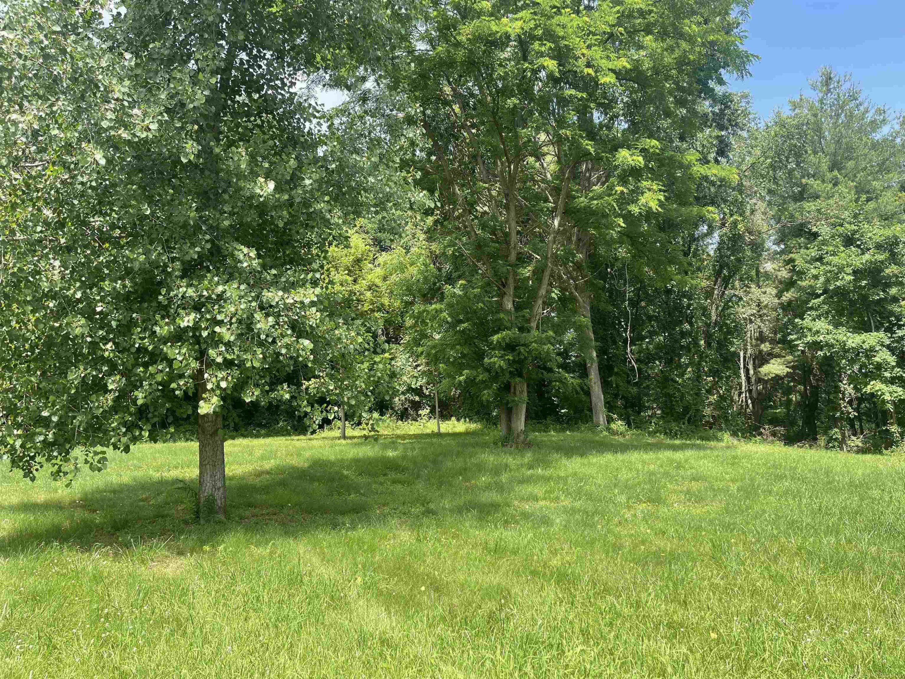 0 Donna Lane, Dryden, MI 48428 — Photo 6
