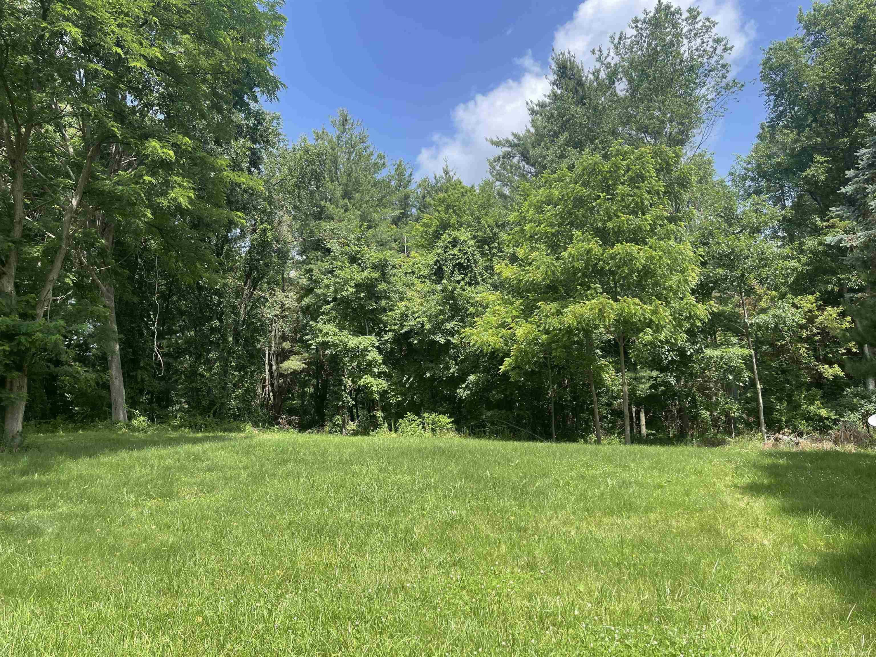 0 Donna Lane, Dryden, MI 48428 — Photo 7