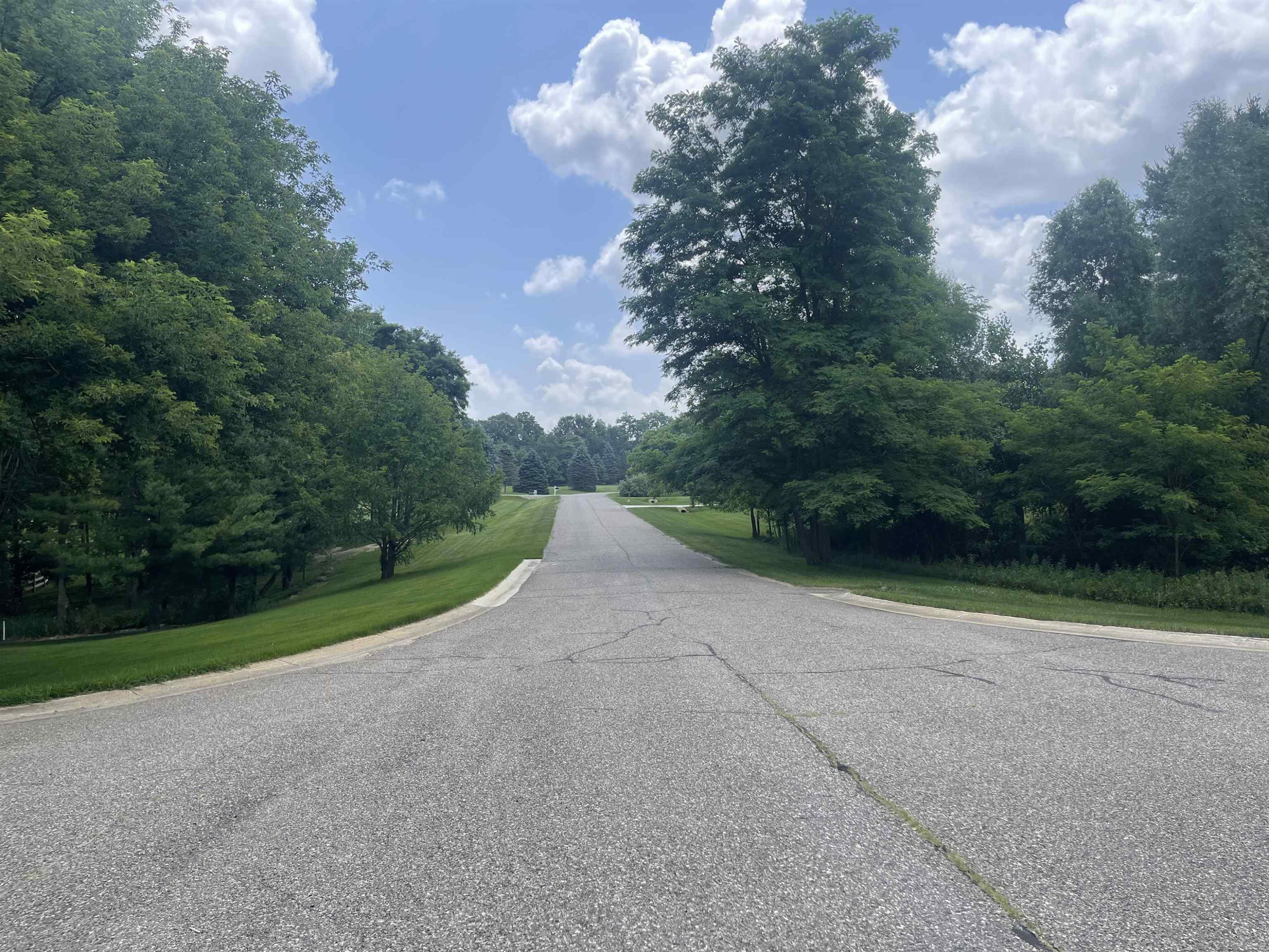 0 Donna Lane, Dryden, MI 48428 — Photo 8