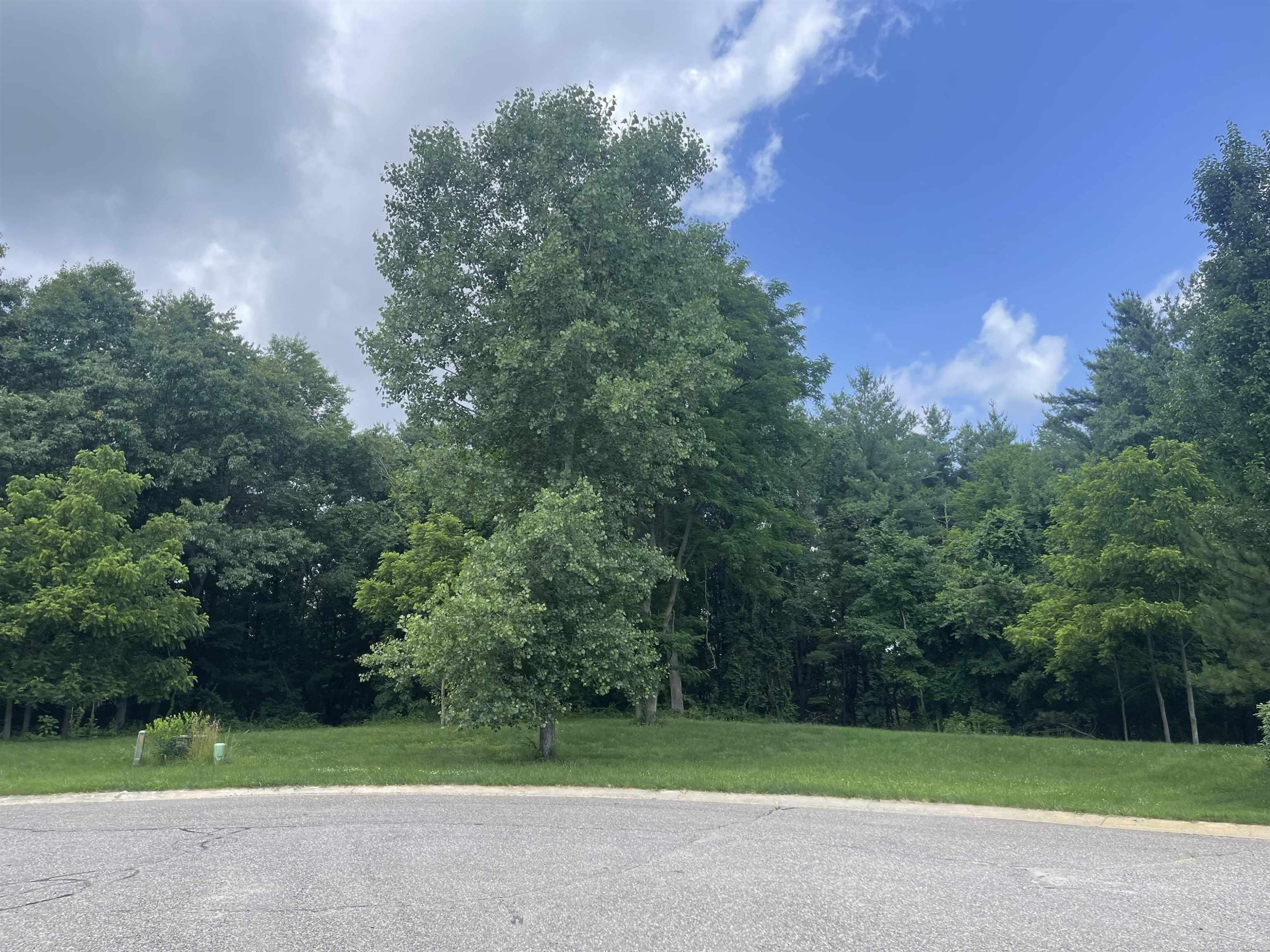 0 Donna Lane, Dryden, MI 48428 — Photo 9
