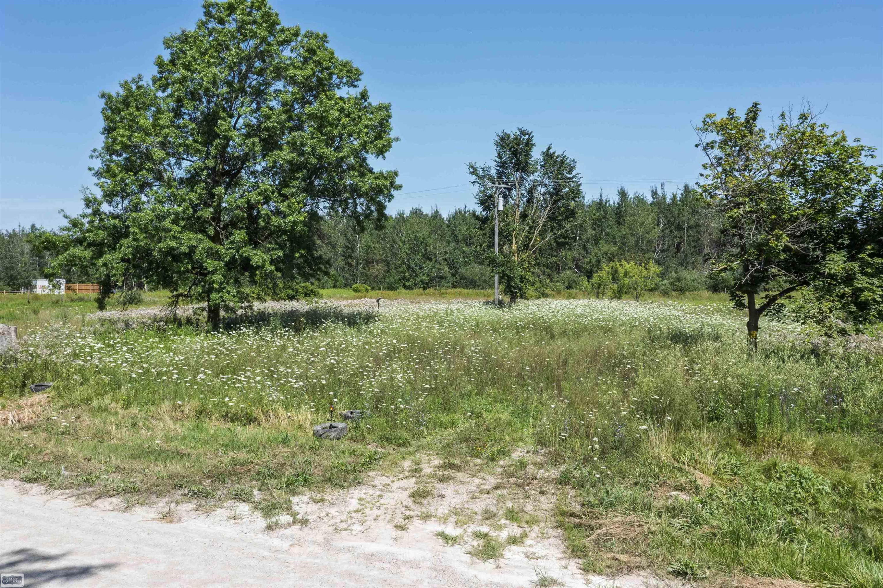 2005 Braidwood Road, MI — Photo 11