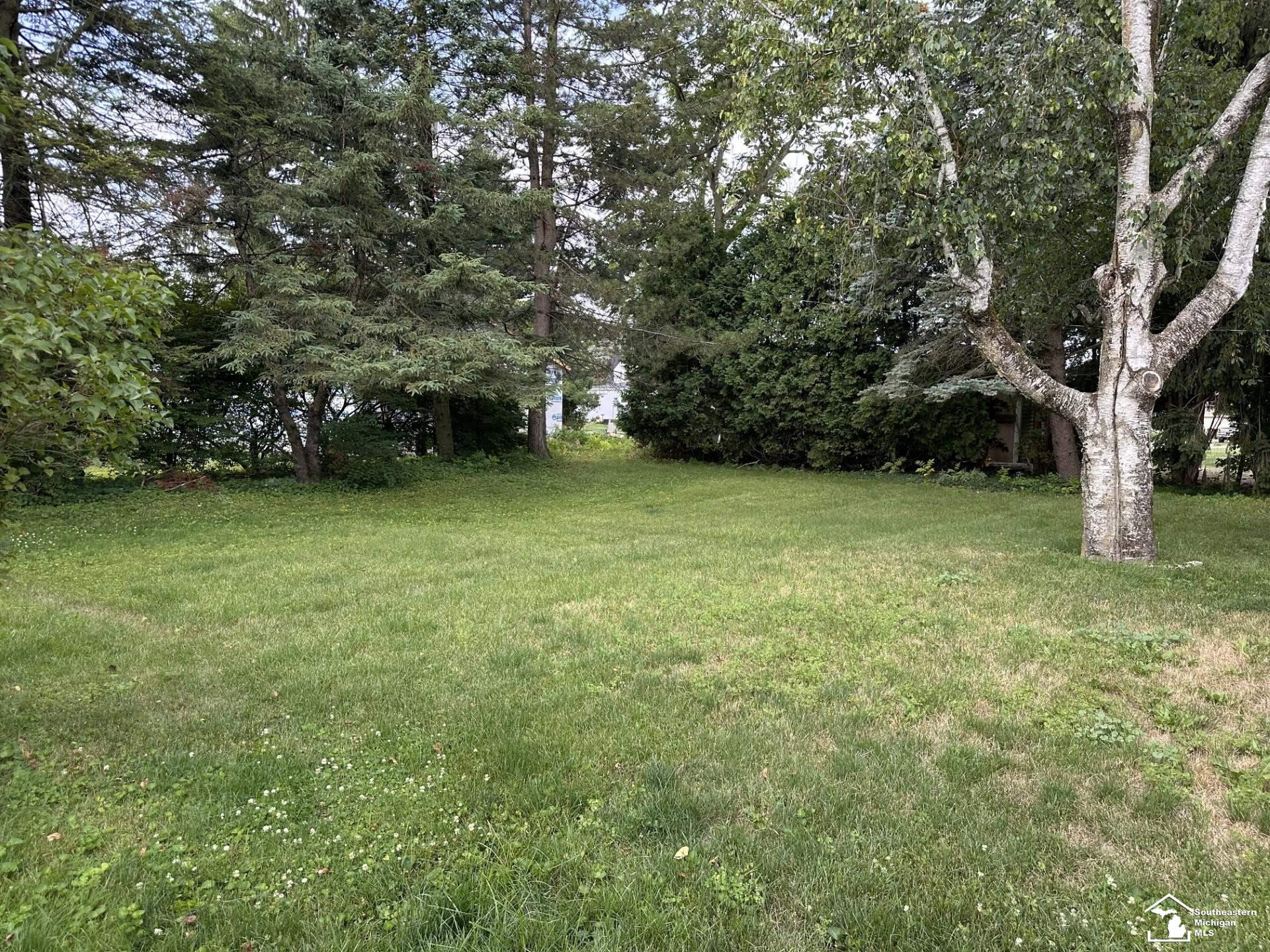 275 W Vesey Street, Petersburg, MI 49270 — Photo 40