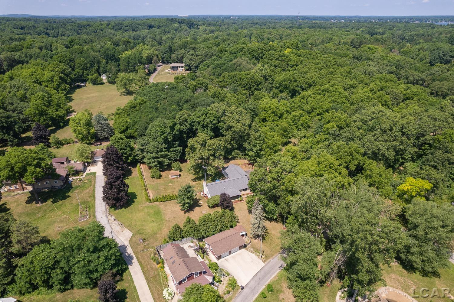 5619 Rays Drive, Onsted, MI 49265 — Photo 58