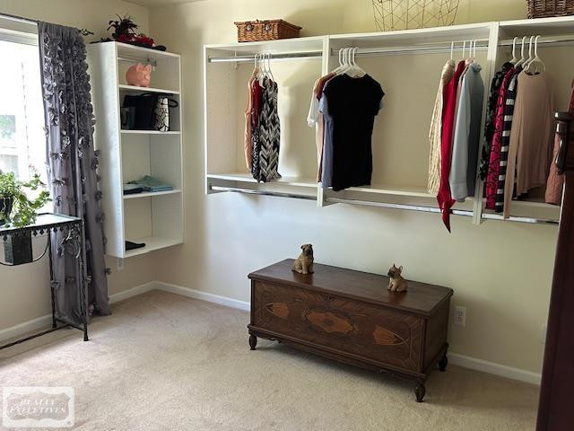 6146 Century Ct. Court, Shelby Twp, MI 48316 — Photo 26