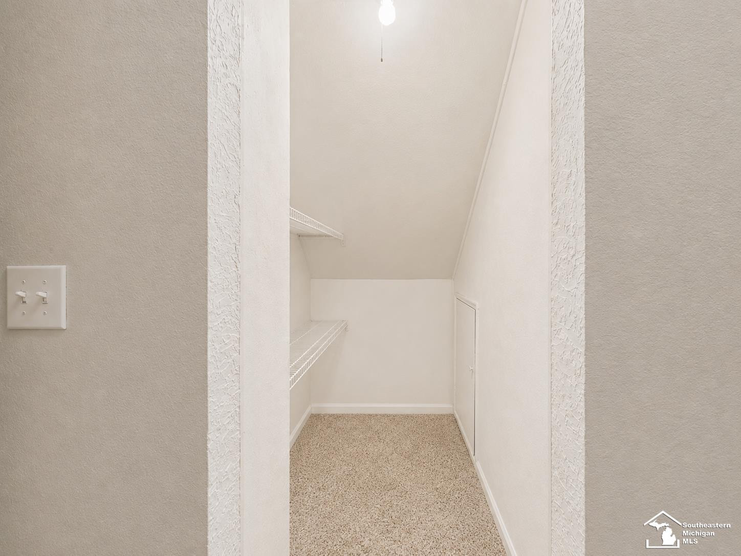 83 W Madison Street, Petersburg, MI 49270 — Photo 13