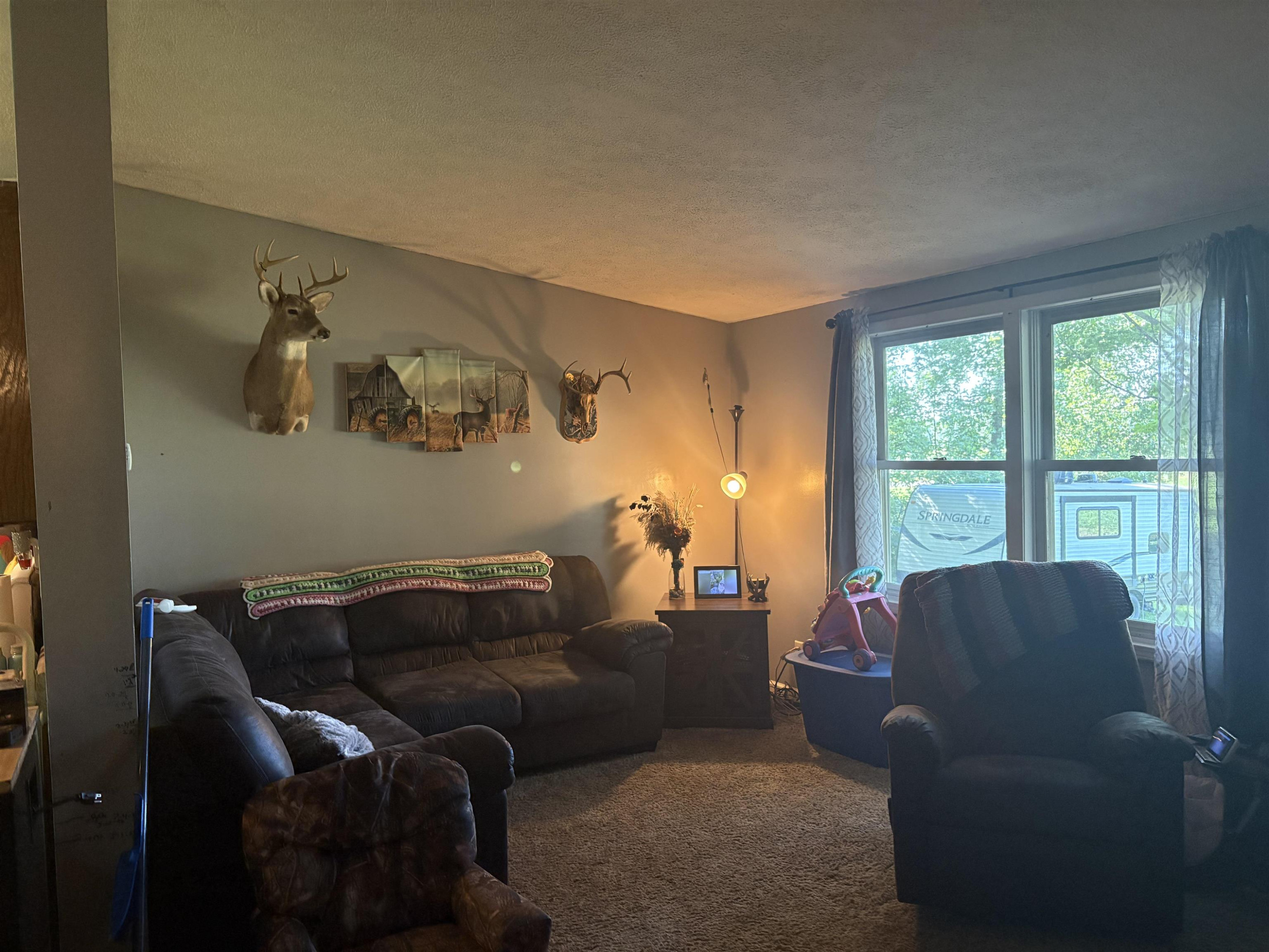 15887 S Hemlock Road, Oakley, MI 48649 — Photo 6