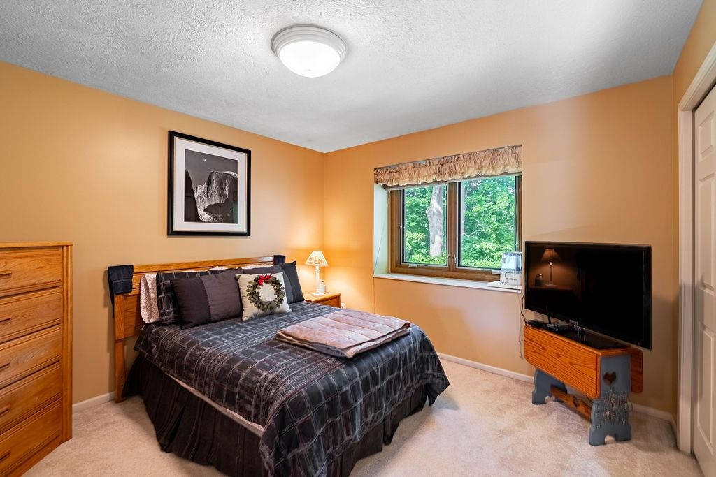 2987 Park Lane, Owosso, MI 48867 — Photo 42