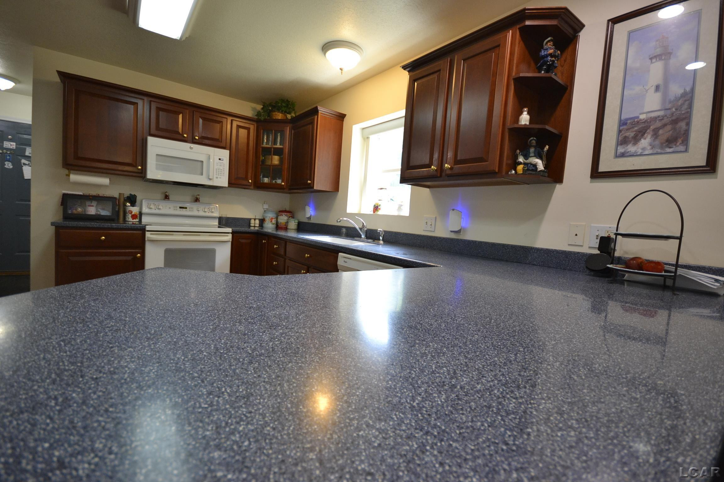 10568 Beebe Highway, Tipton, MI 49287 — Photo 8