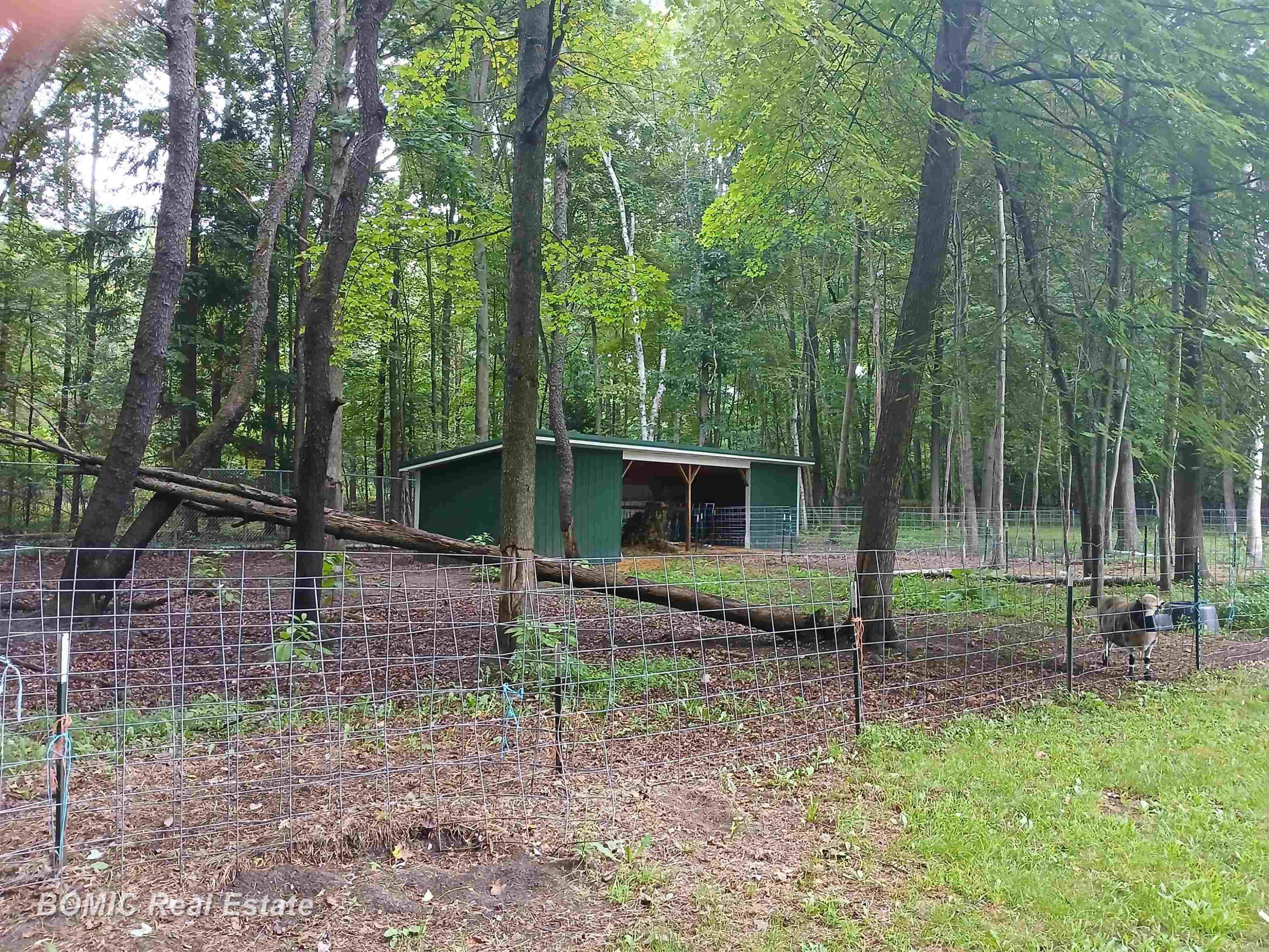 8222 Moorish Road, Birch Run, MI 48415 — Photo 20