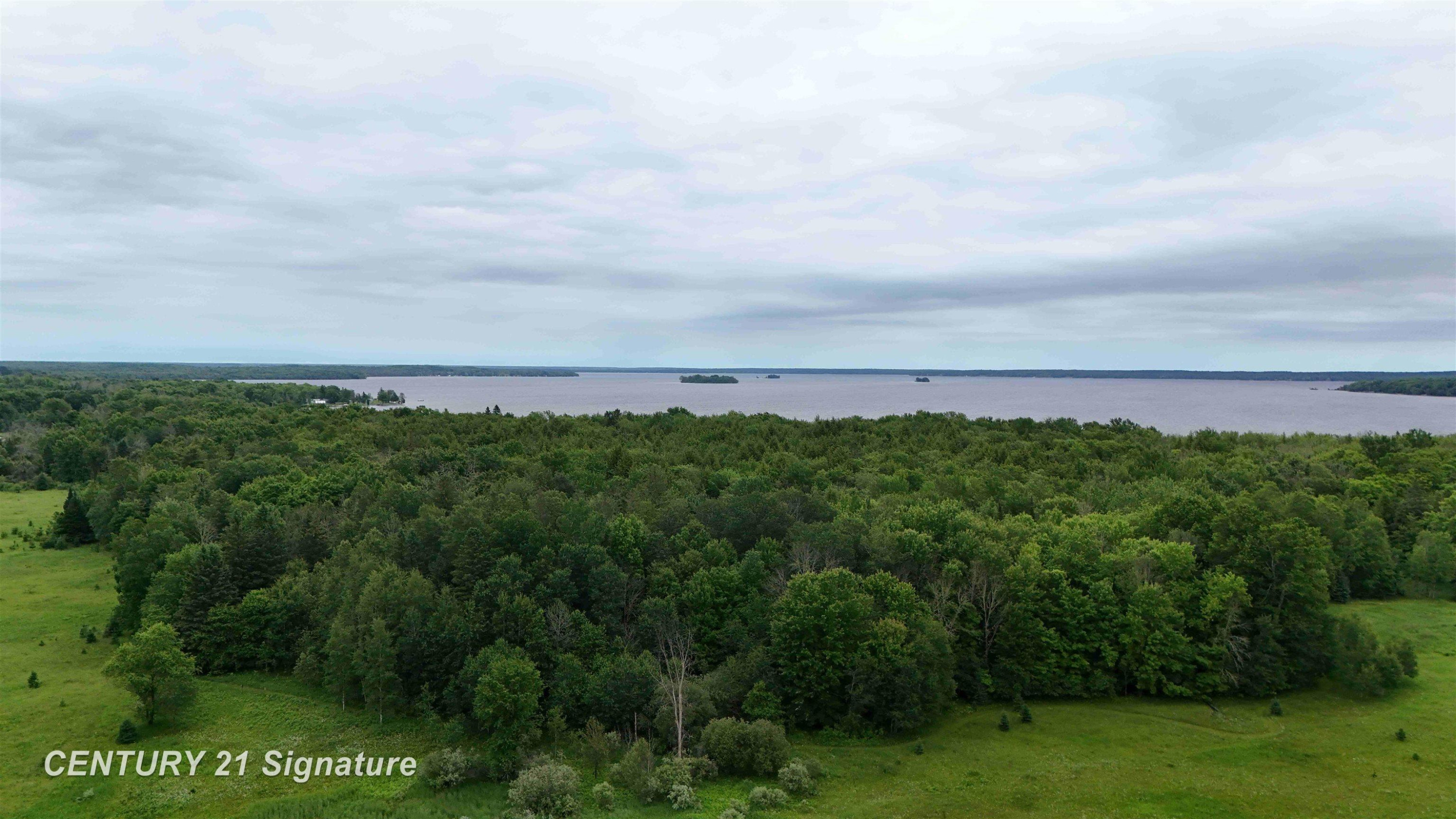 V/L County Road 477 Road, McMillan, MI 49853 — Photo 3