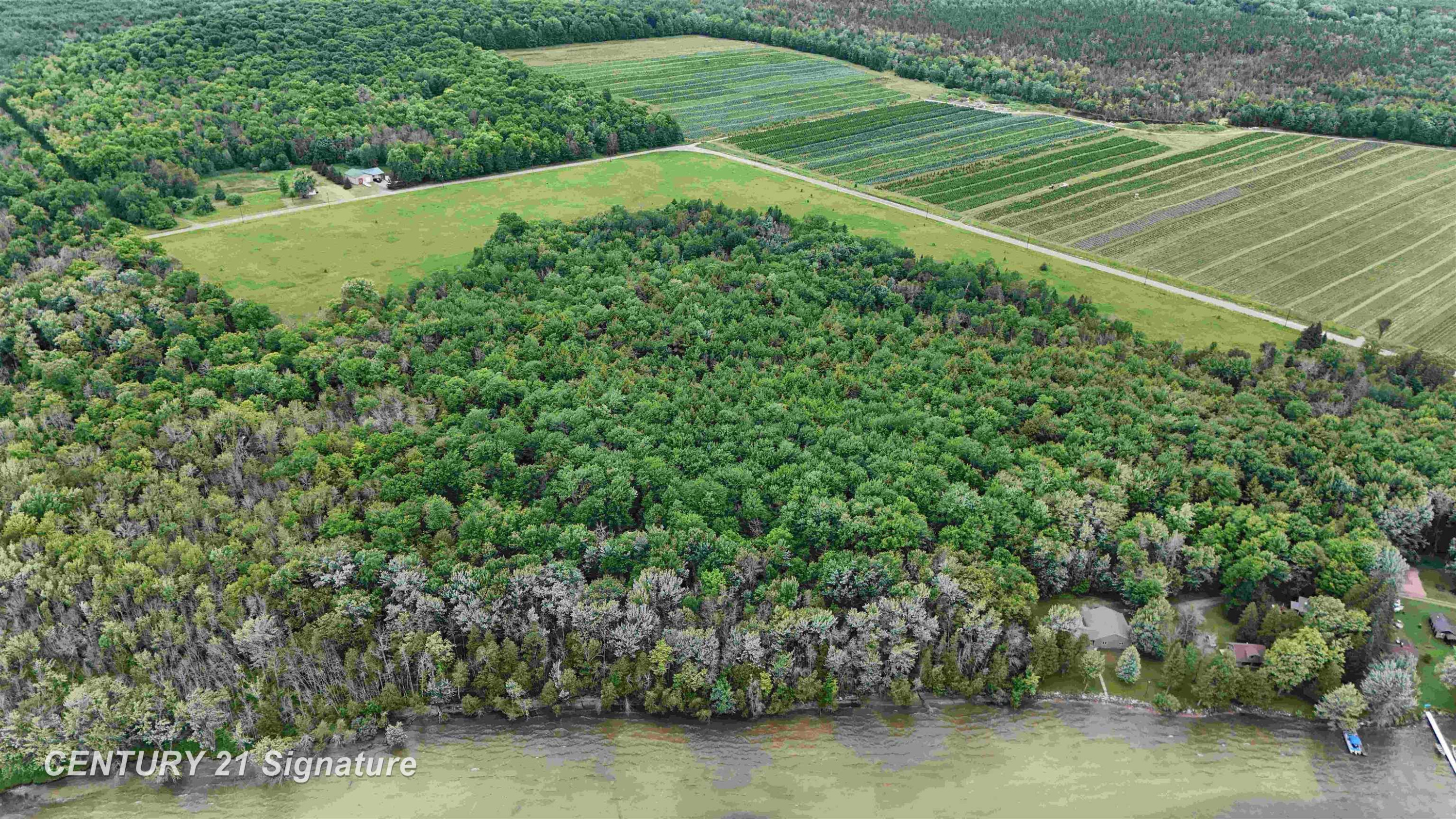 V/L County Road 477 Road, McMillan, MI 49853 — Photo 10