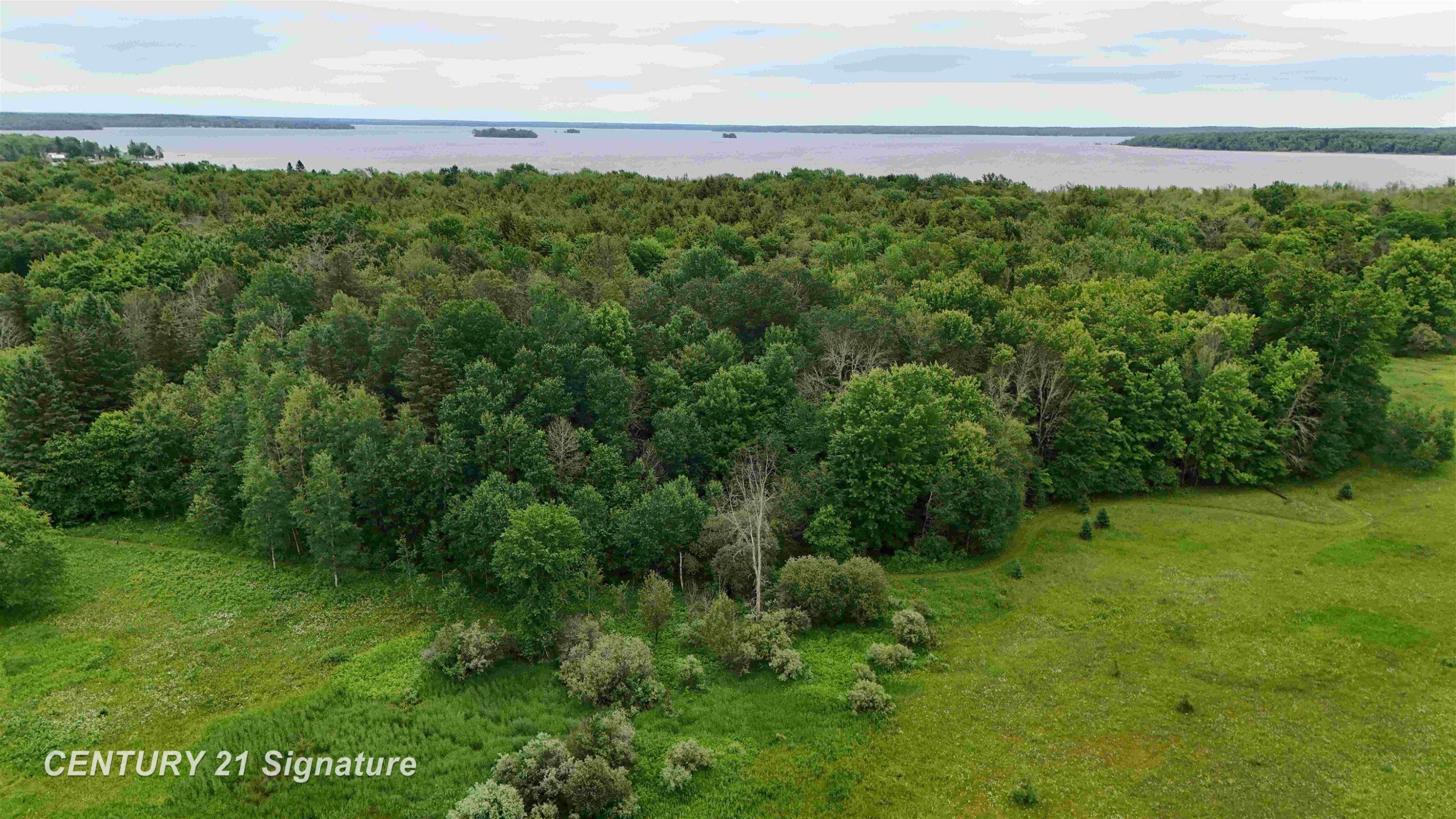 V/L County Road 477 Road, McMillan, MI 49853 — Photo 11